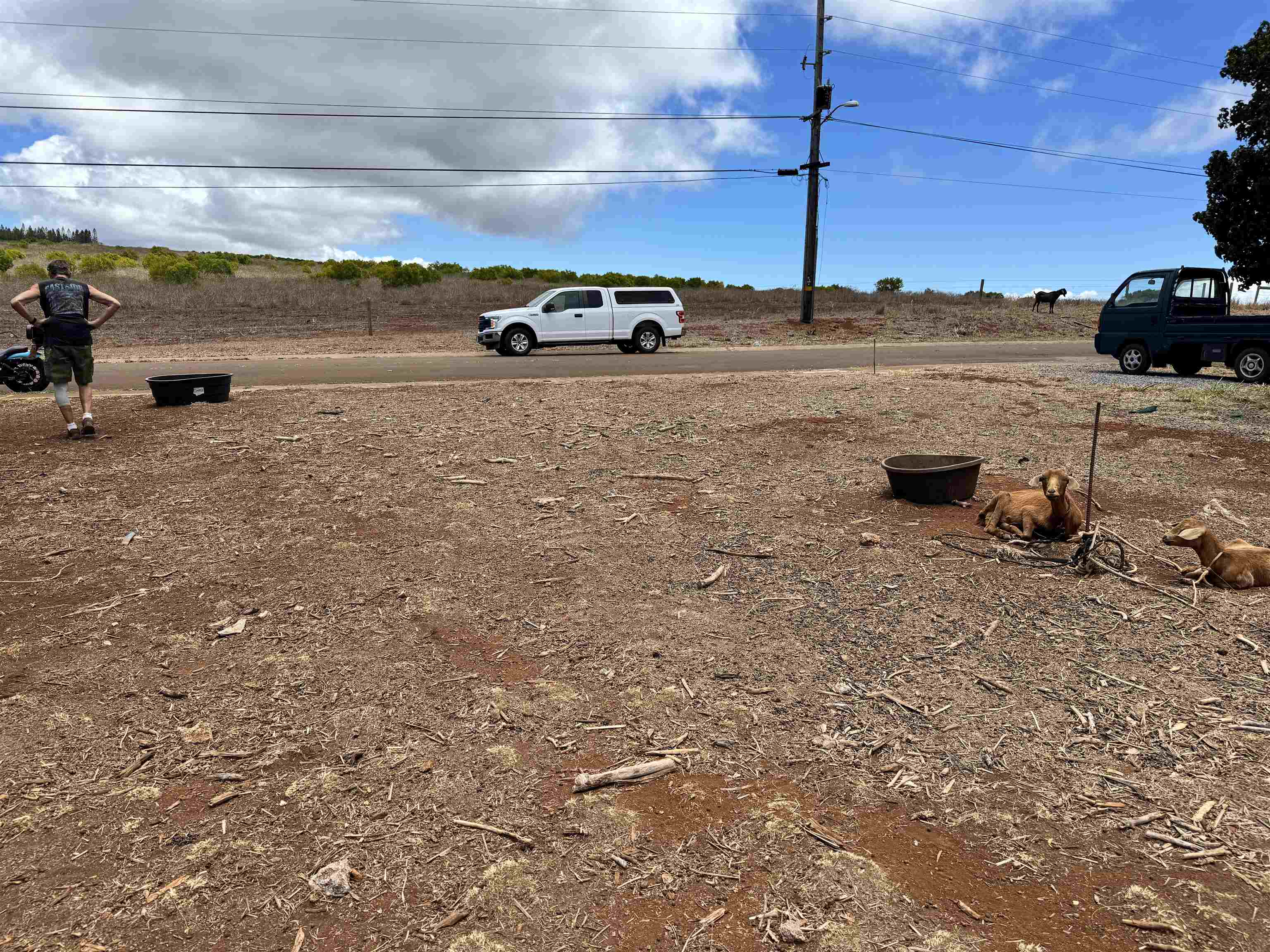 Maunaloa Rd Property Photo 4