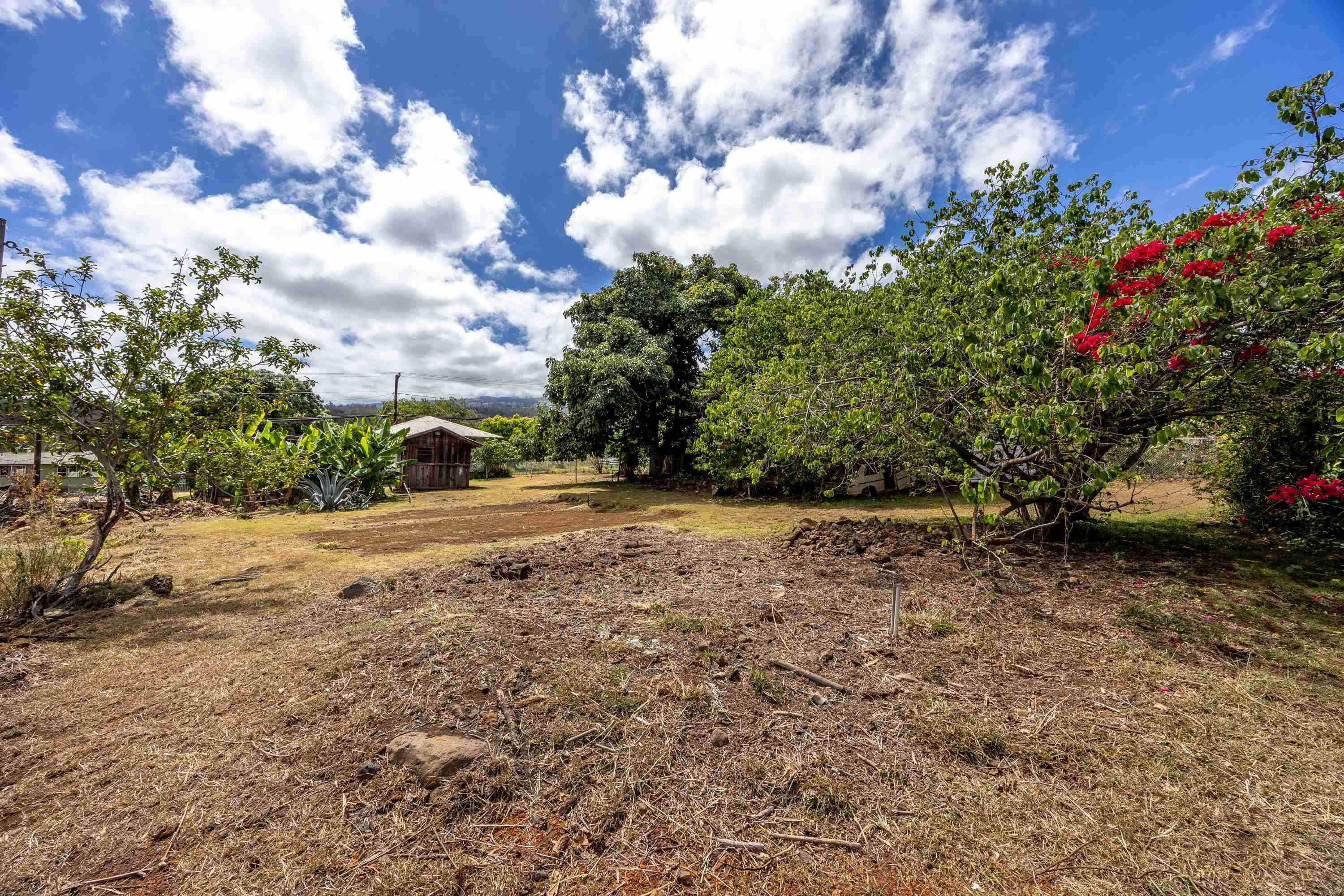 3044 Lower Kula Rd Property Photo 24