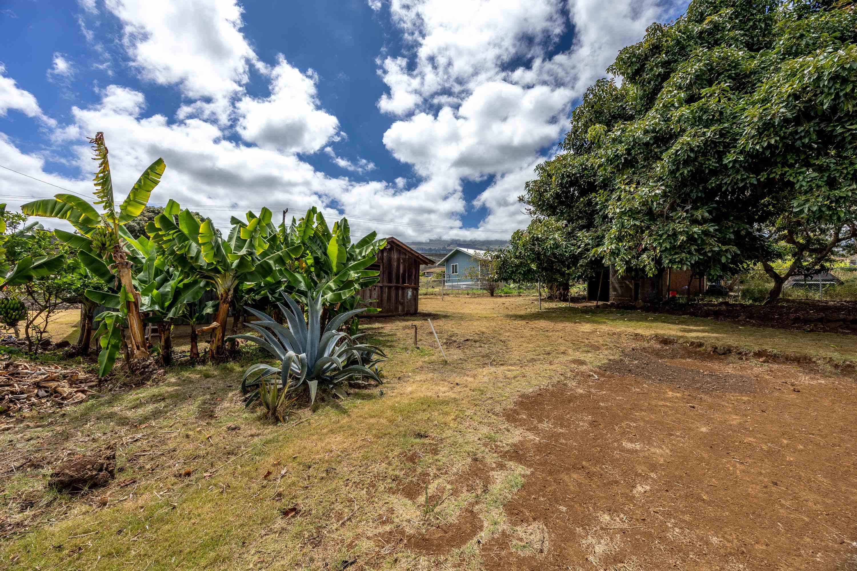 3044 Lower Kula Rd Property Photo 27