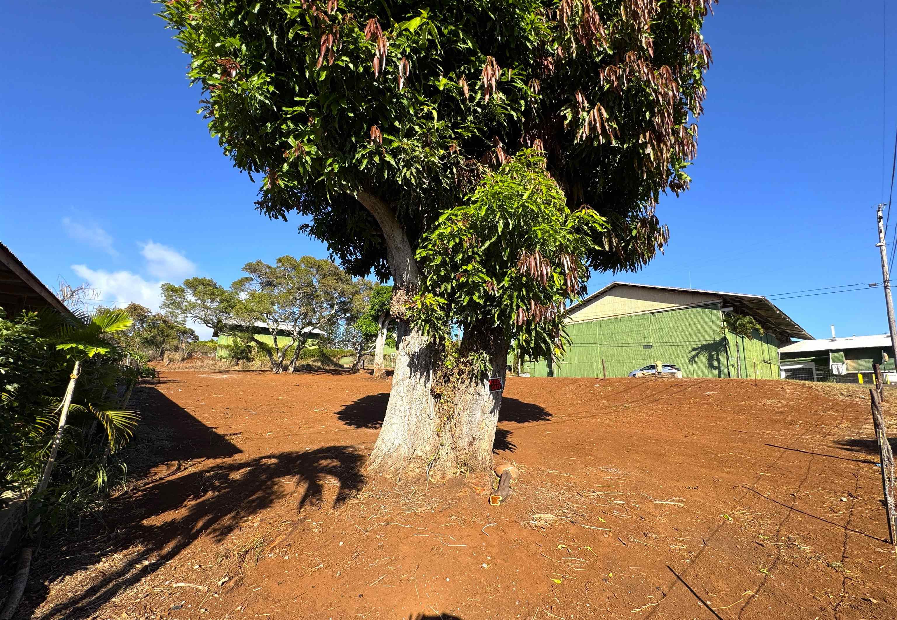 1658 Okana St Property Photo 5