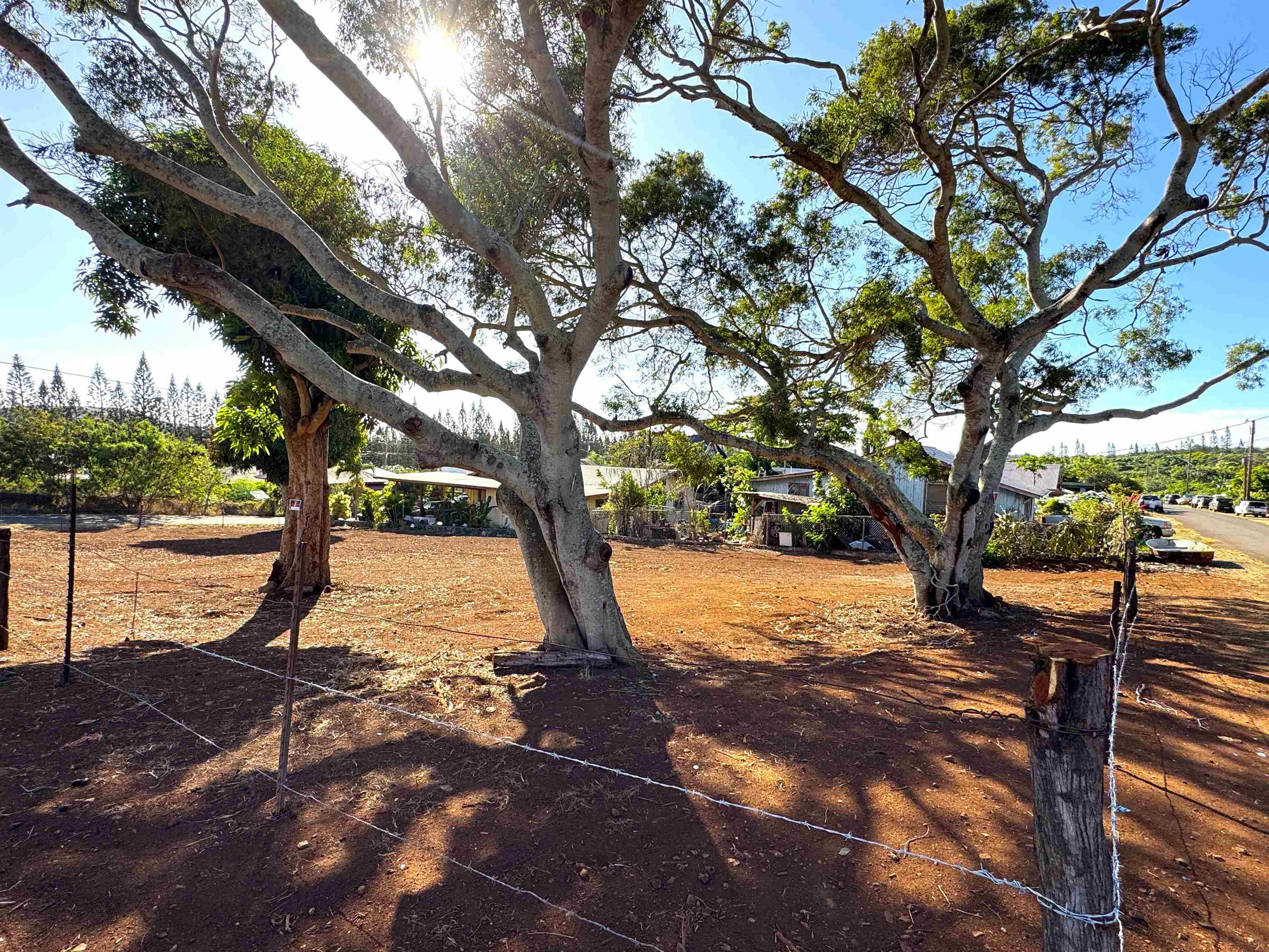 1658 Okana St Property Photo 8