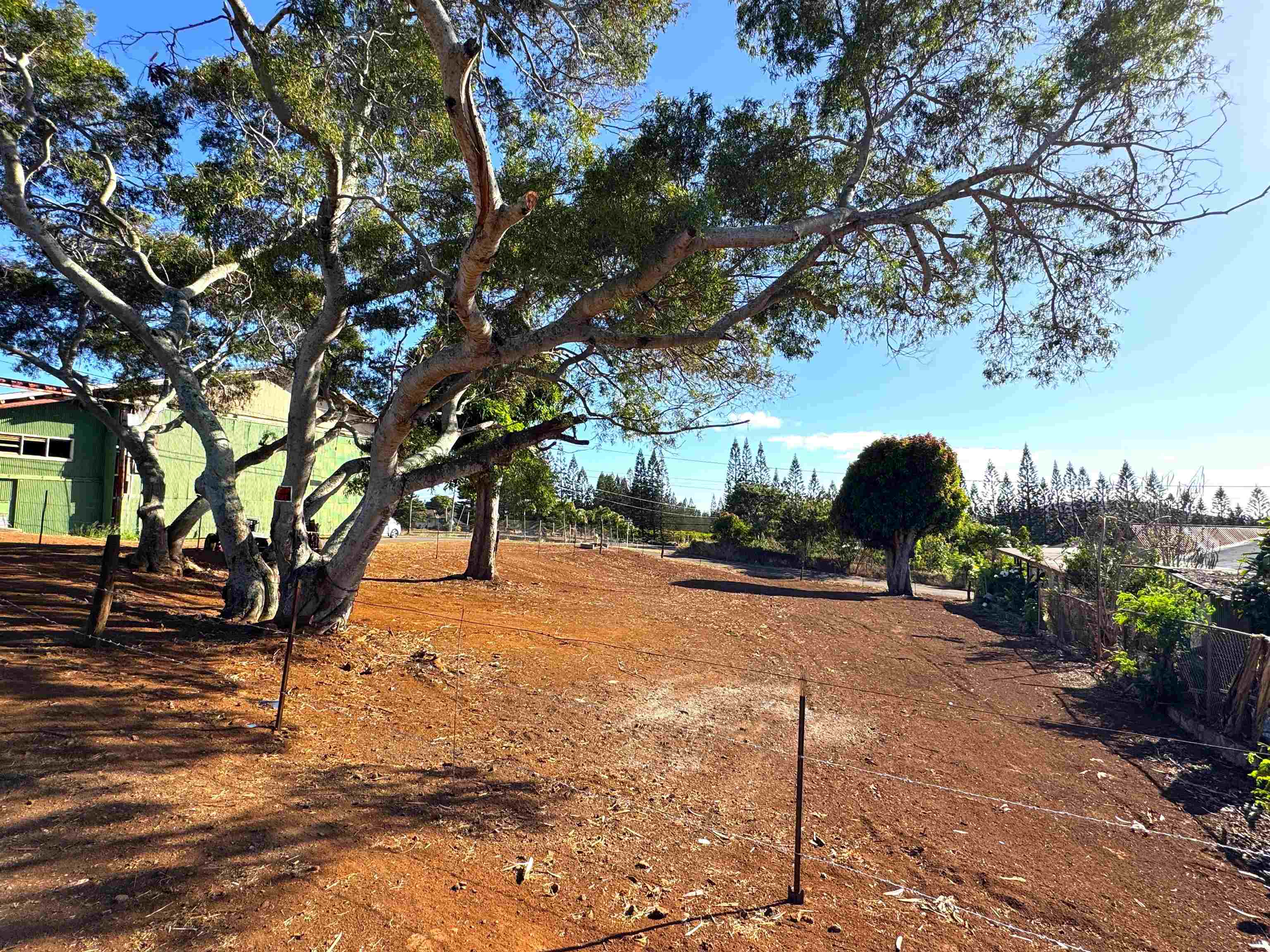 1658 Okana St Property Photo 10