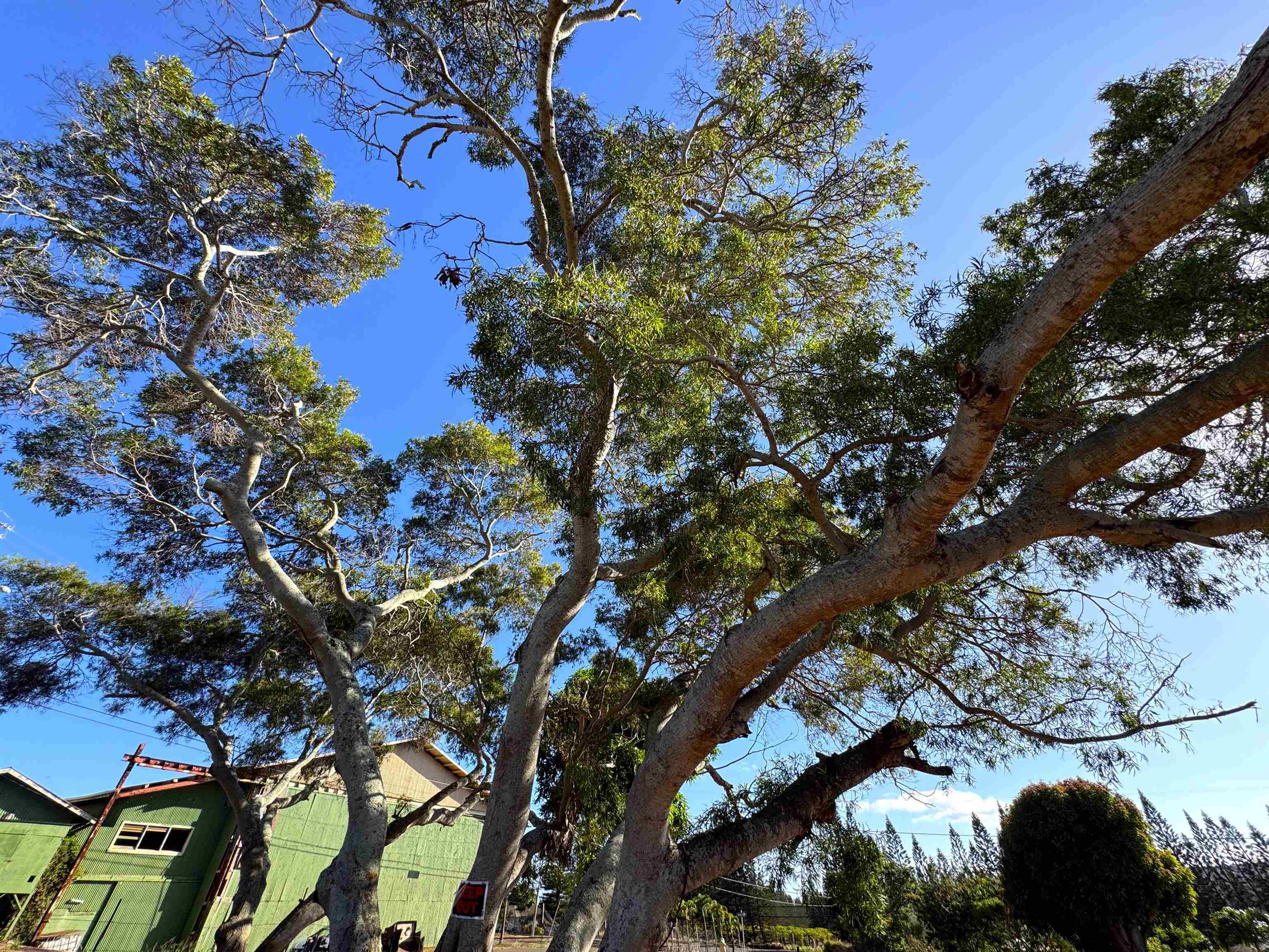 1658 Okana St Property Photo 12