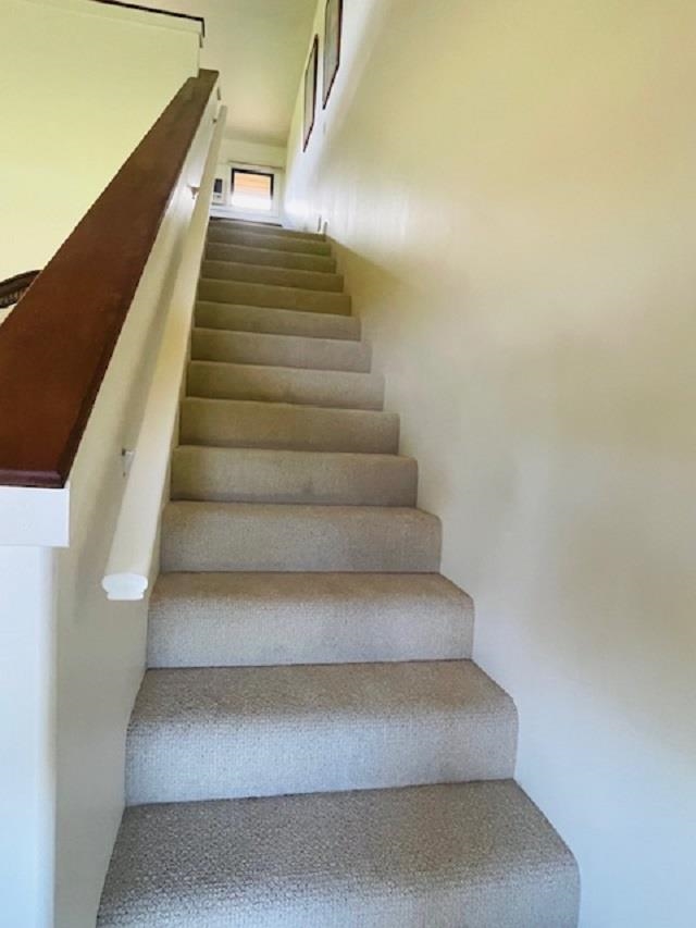 50 Puu Anoano St Property Photo 17