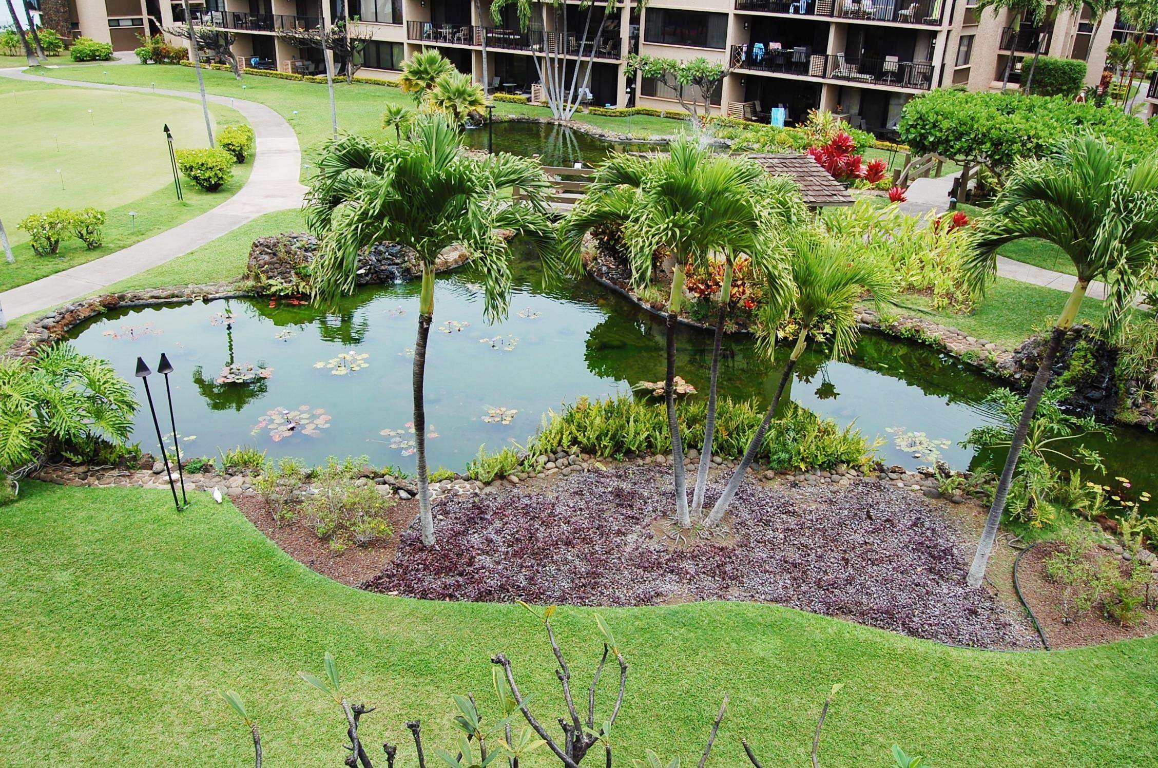 3543 Lower Honoapiilani Rd Property Photo 24
