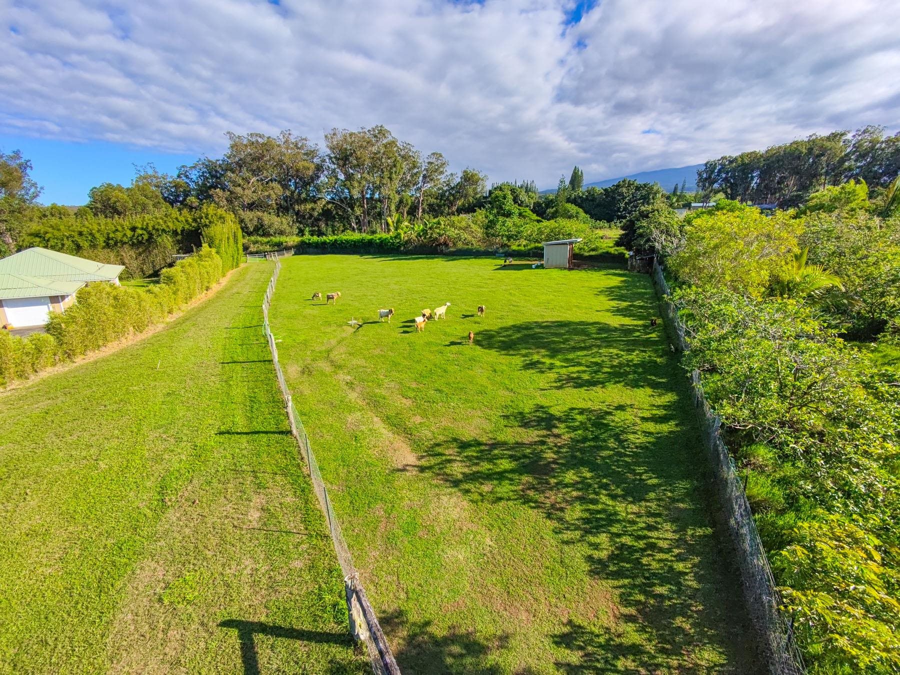 57 Awalau Rd Property Photo 3