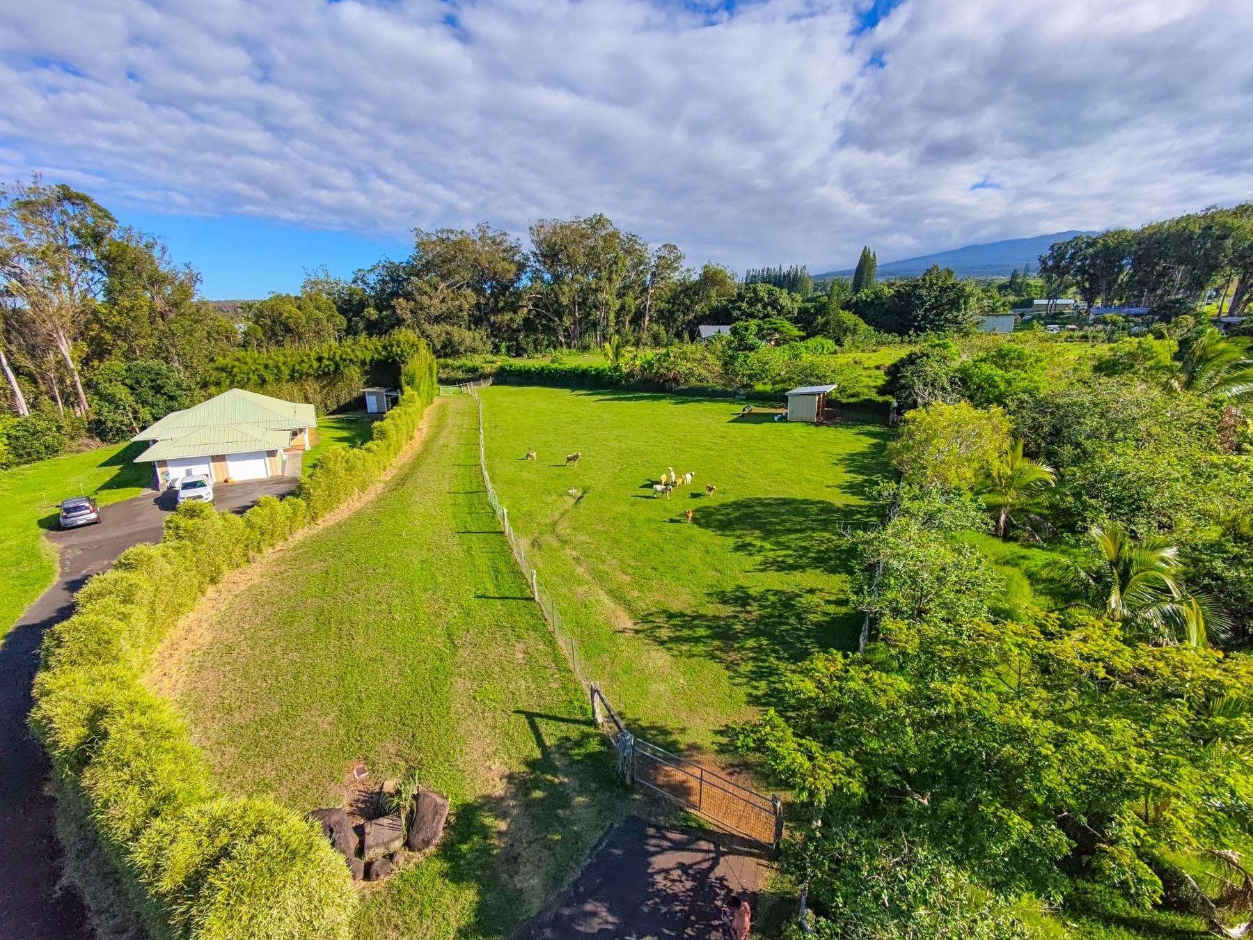 57 Awalau Rd Property Photo 5