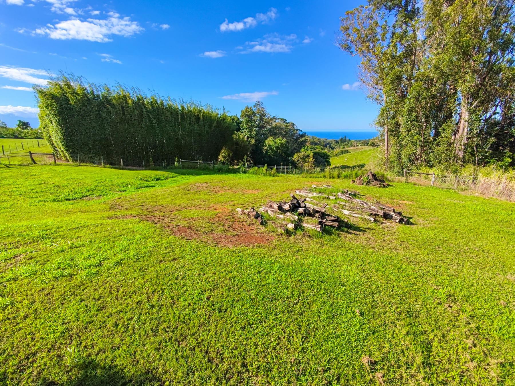 57 Awalau Rd Property Photo 6