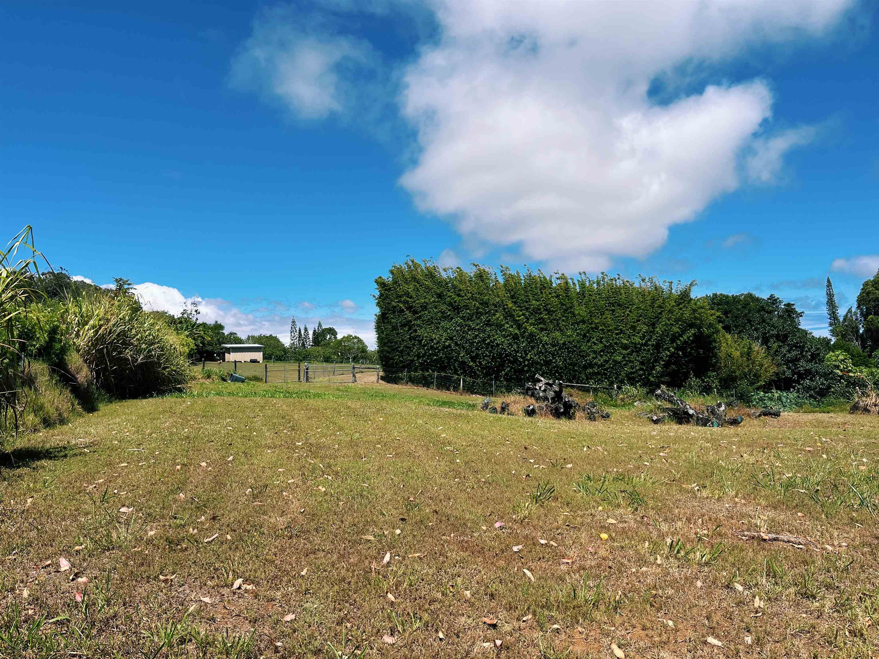 57 Awalau Rd Property Photo 10