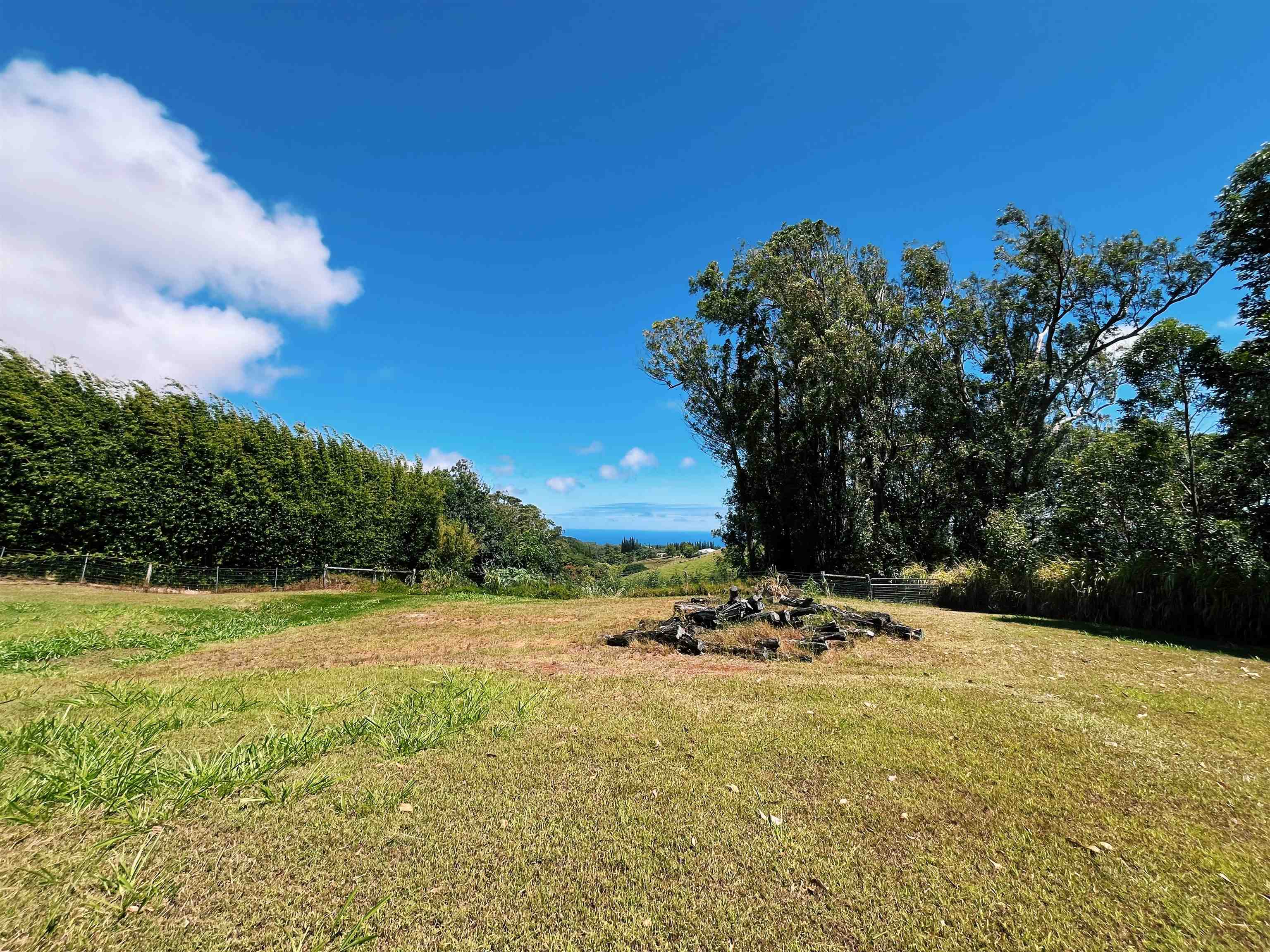 57 Awalau Rd Property Photo 13