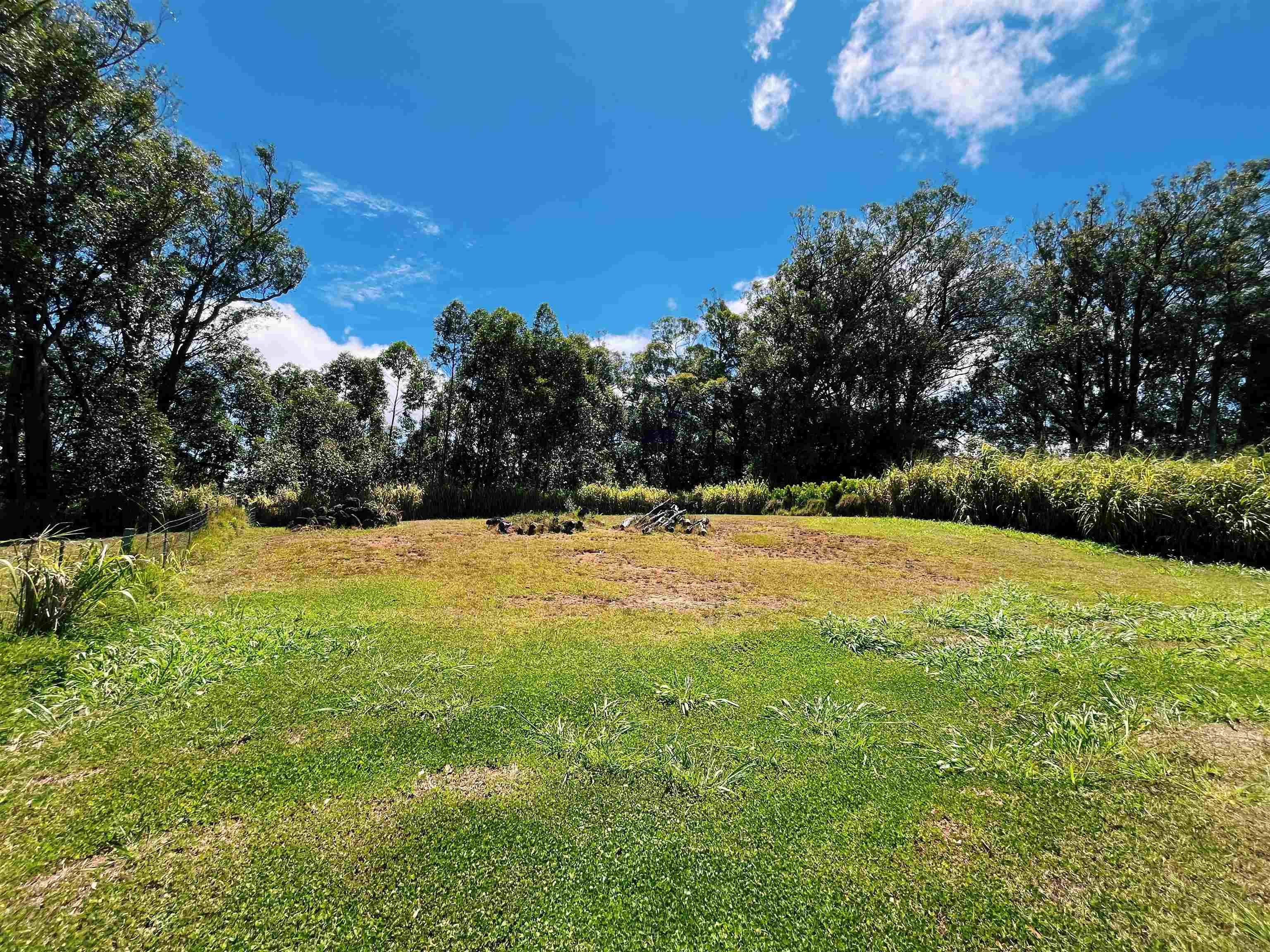 57 Awalau Rd Property Photo 14