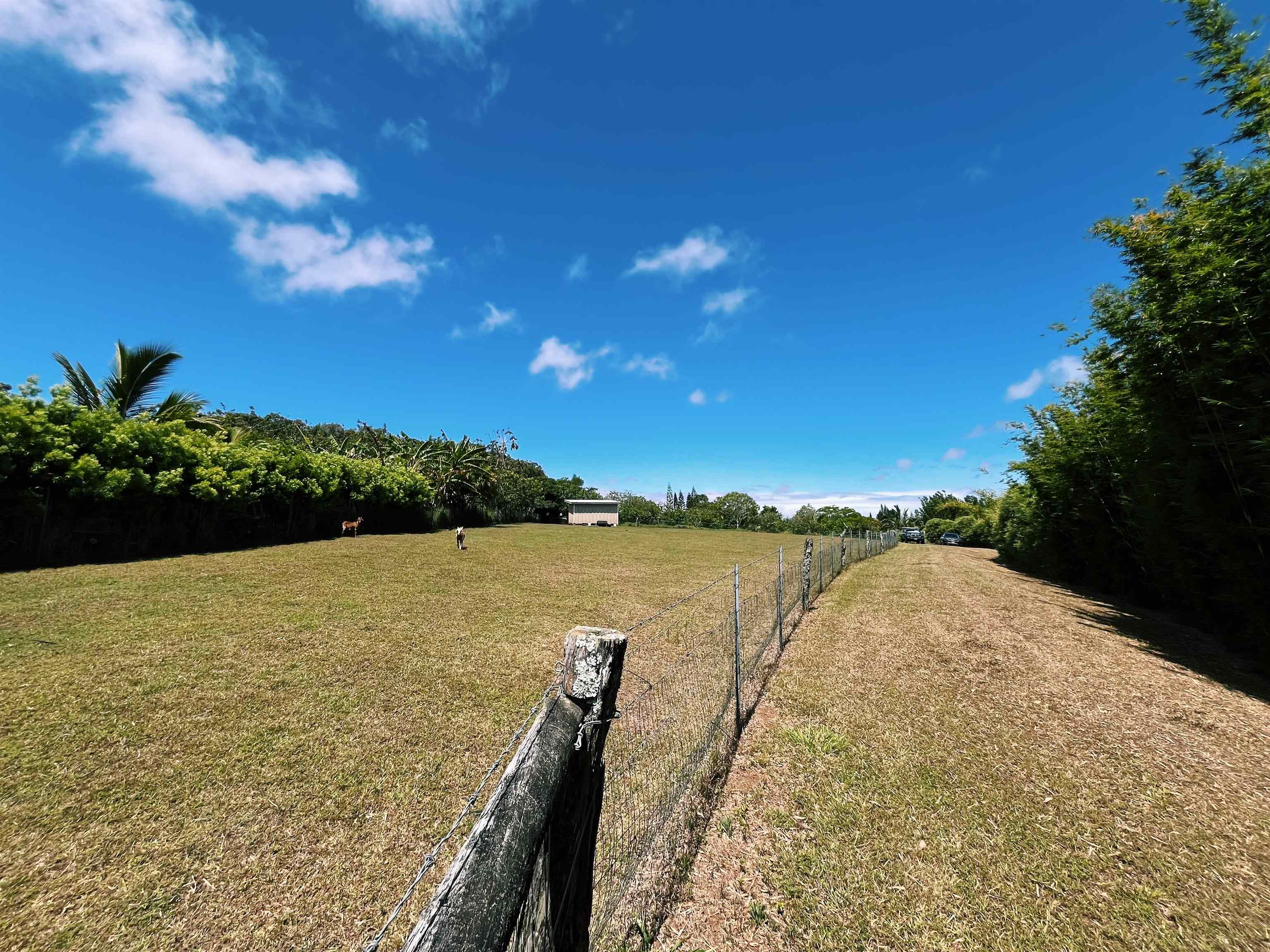 57 Awalau Rd Property Photo 16