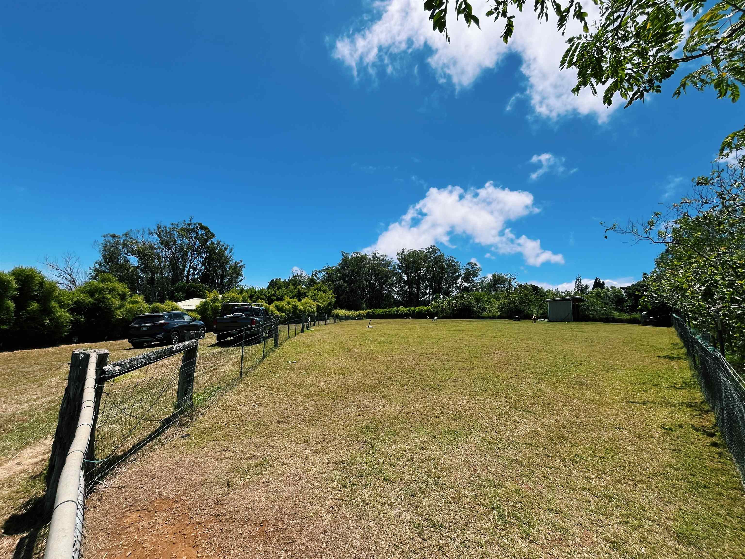 57 Awalau Rd Property Photo 17