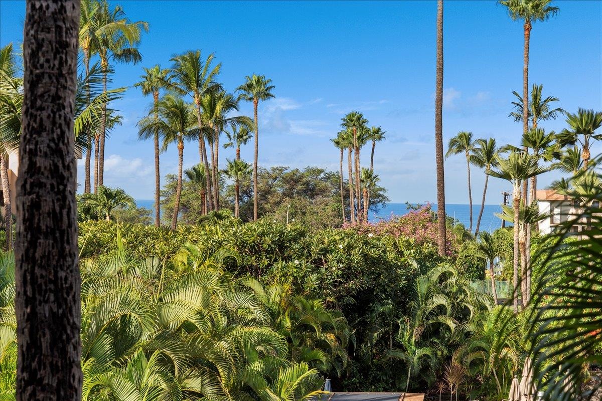 2695 S Kihei Rd Property Photo 1