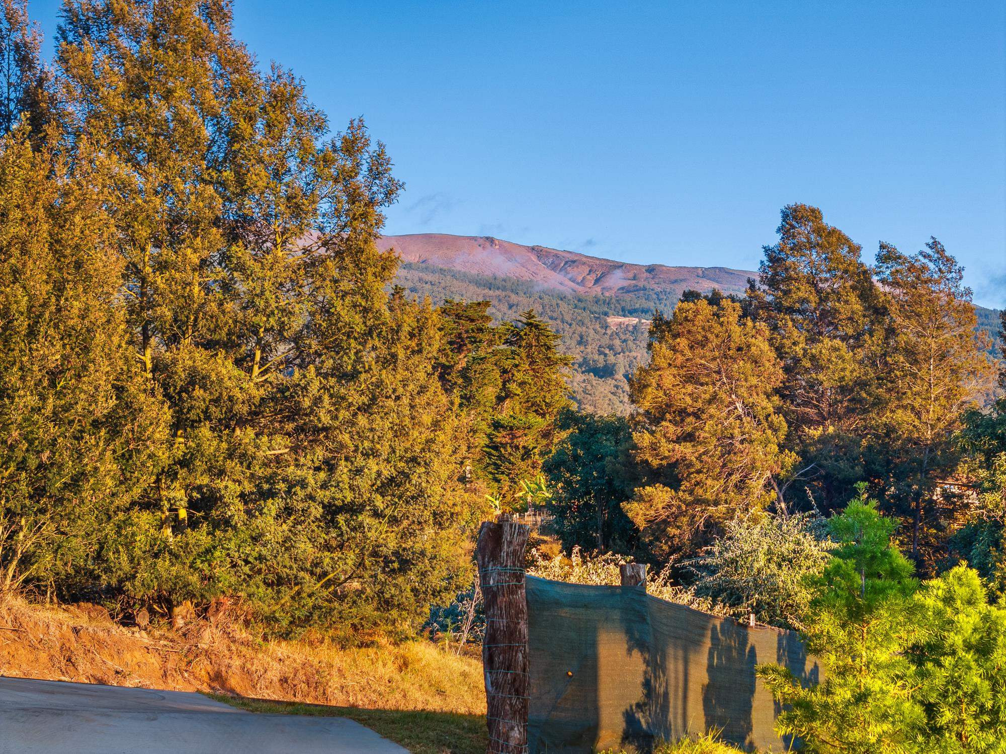 909 Copp Rd Property Photo 33