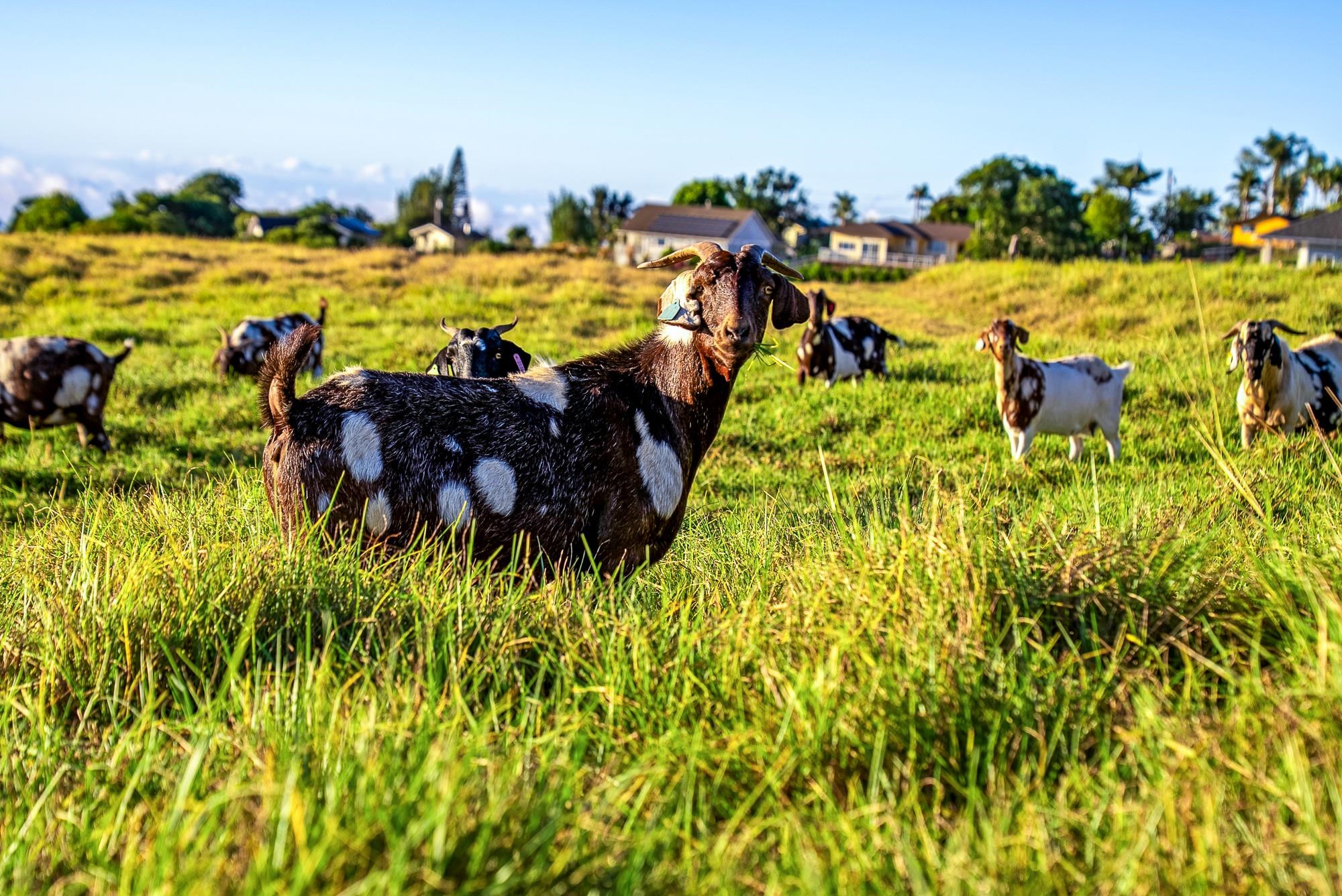 909 Copp Rd Property Photo 37