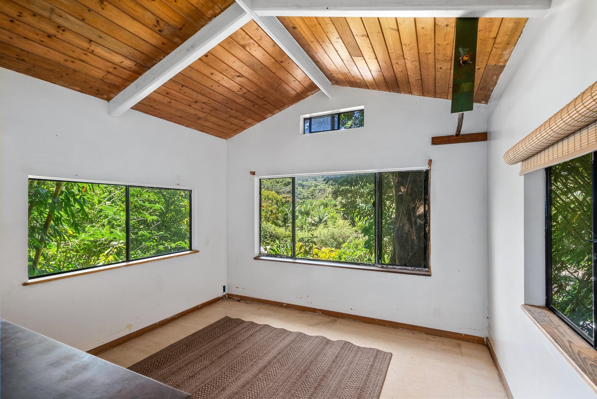 106 Hikiau Rd Property Photo 27