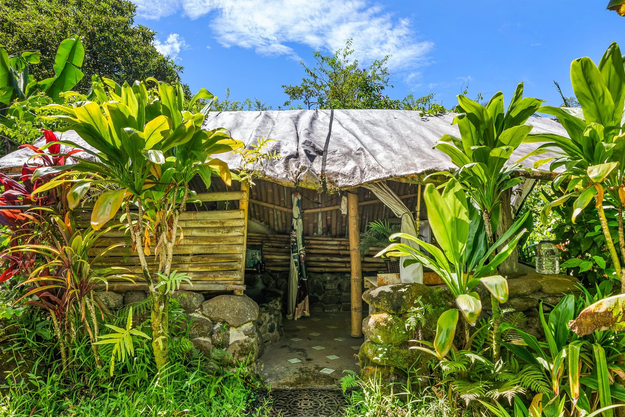 106 Hikiau Rd Property Photo 32