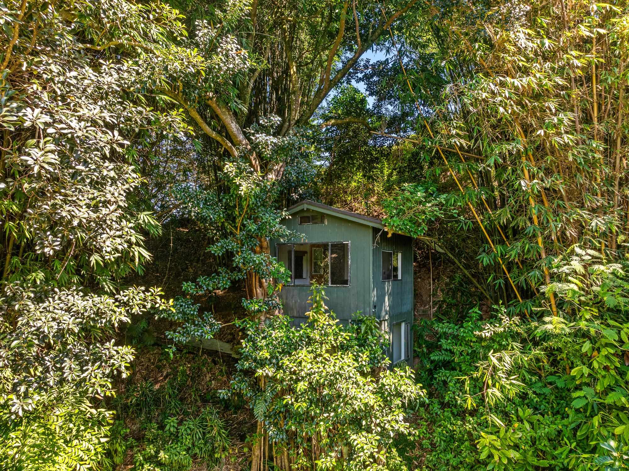 106 Hikiau Rd Property Photo 33