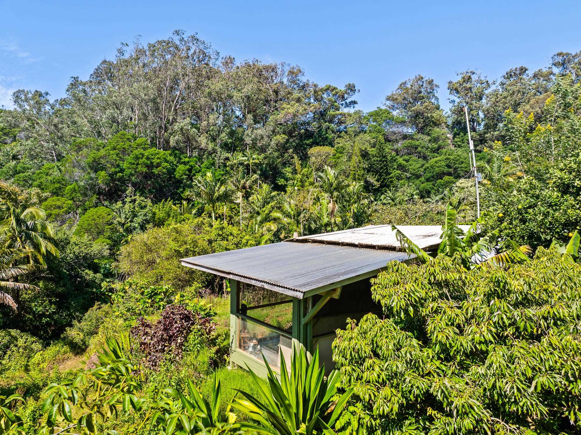 106 Hikiau Rd Property Photo 35