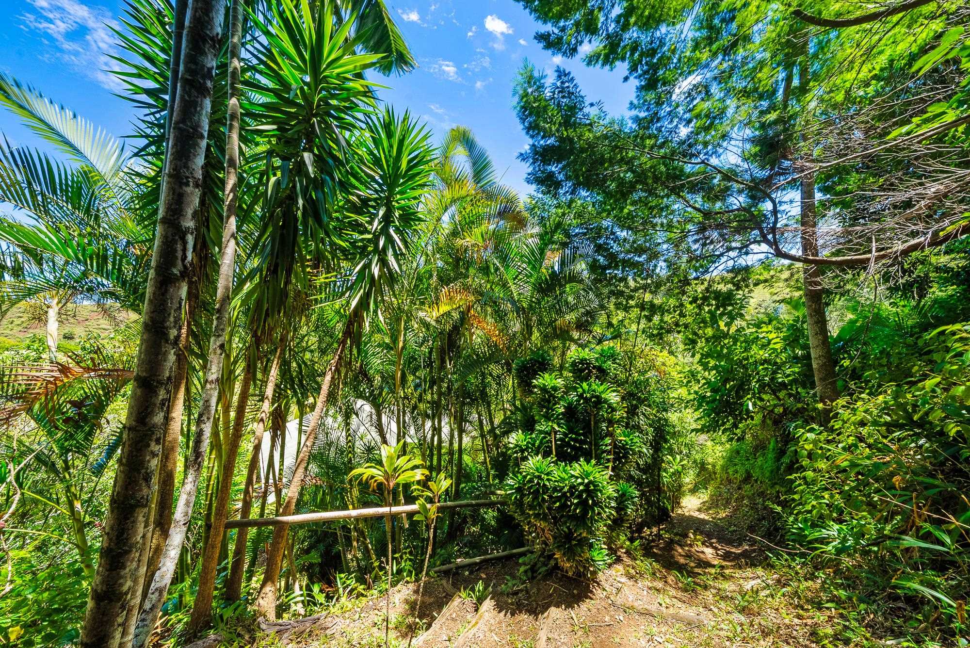 106 Hikiau Rd Property Photo 41