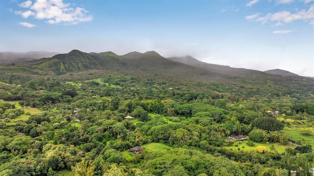 143 Alalele Pl Property Photo 48