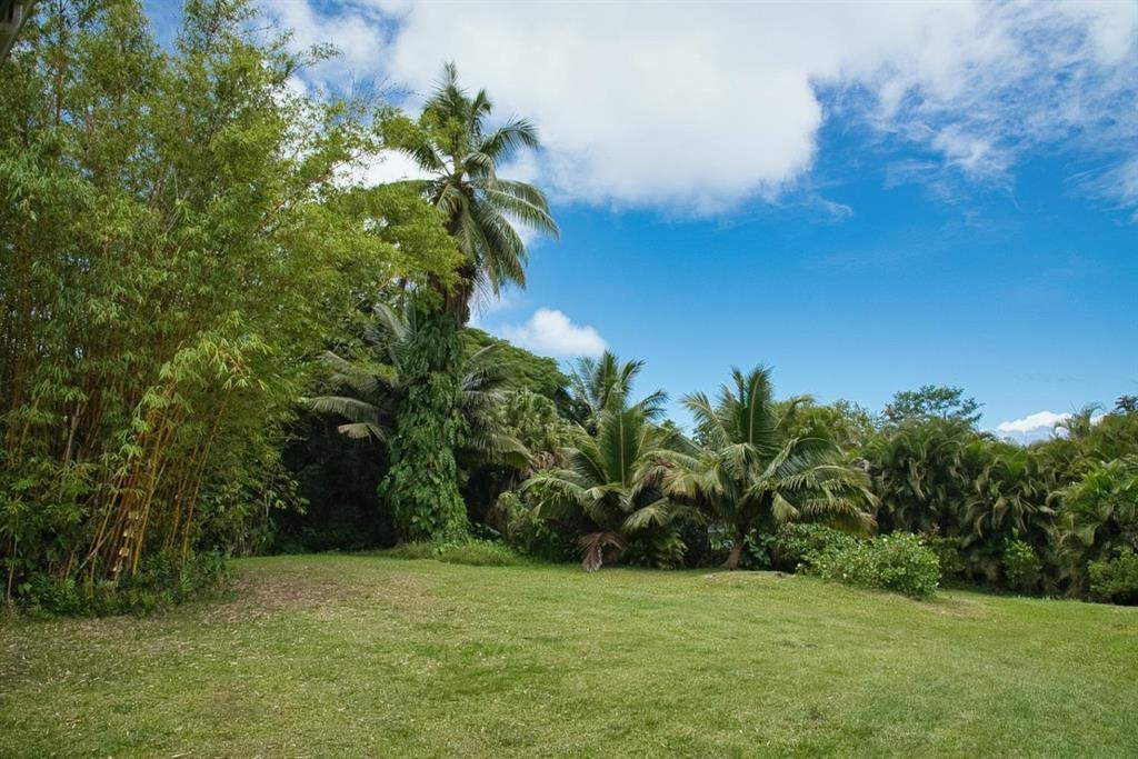 143 Alalele Pl Property Photo 49