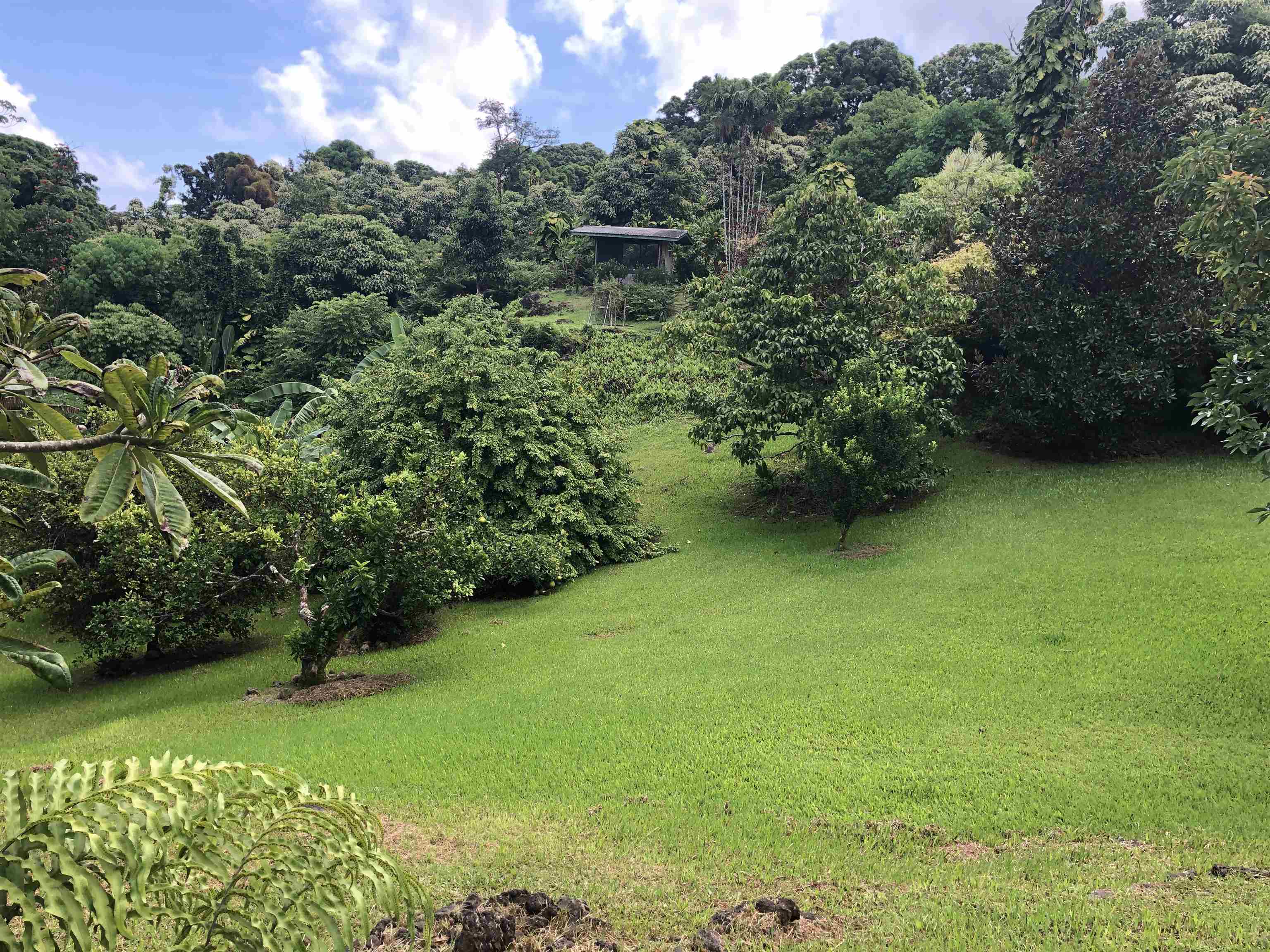 725 Nahiku Rd Property Photo 5