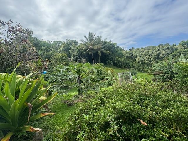 725 Nahiku Rd Property Photo 6