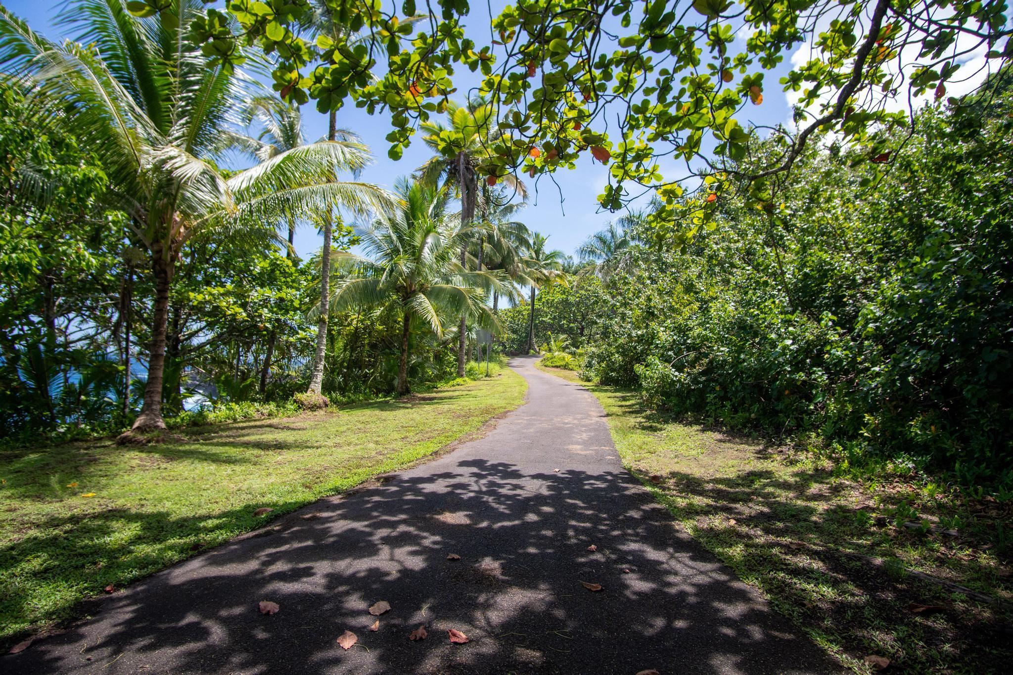 725 Nahiku Rd Property Photo 27