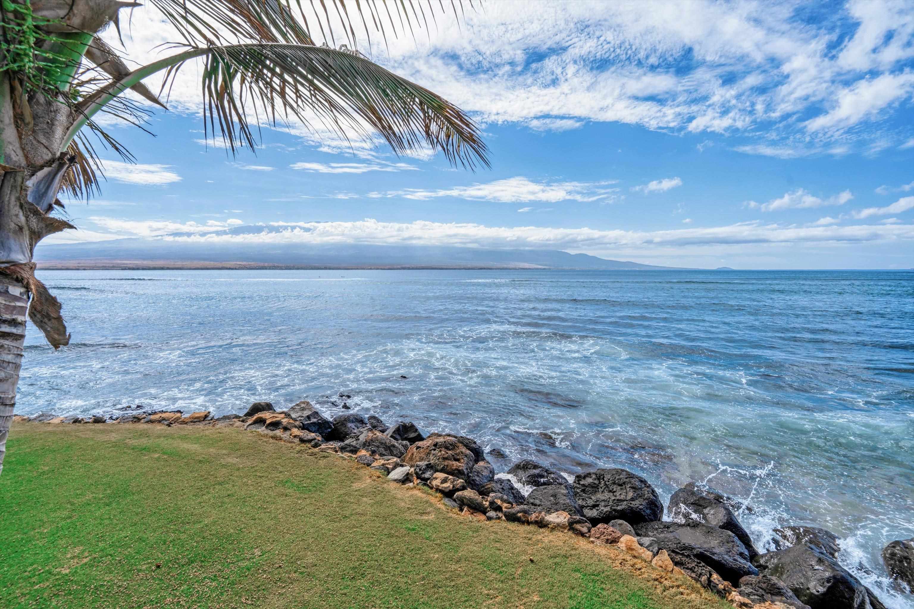 50 HAUOLI St Property Photo 1