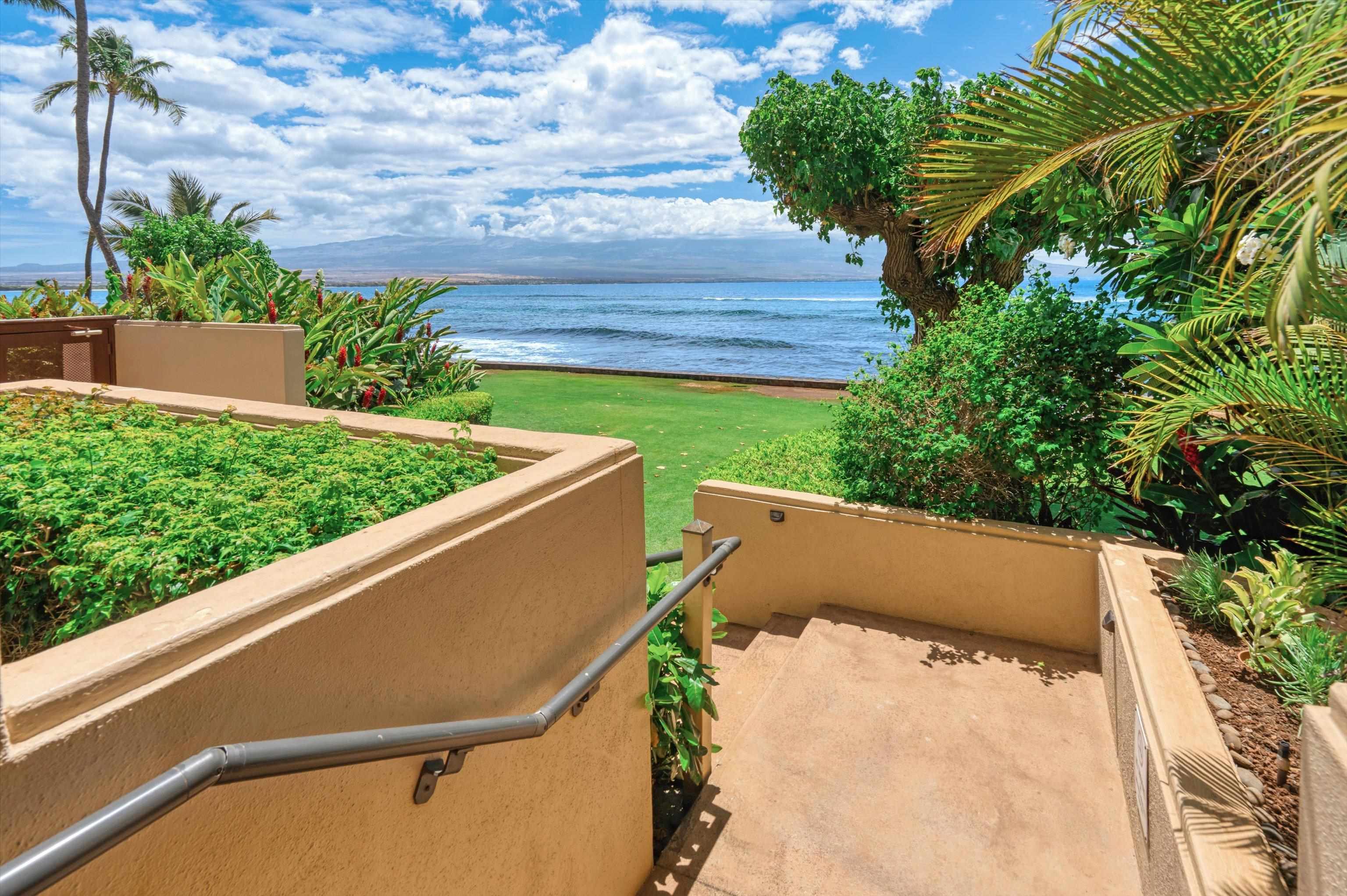 50 Hauoli St Property Photo 42