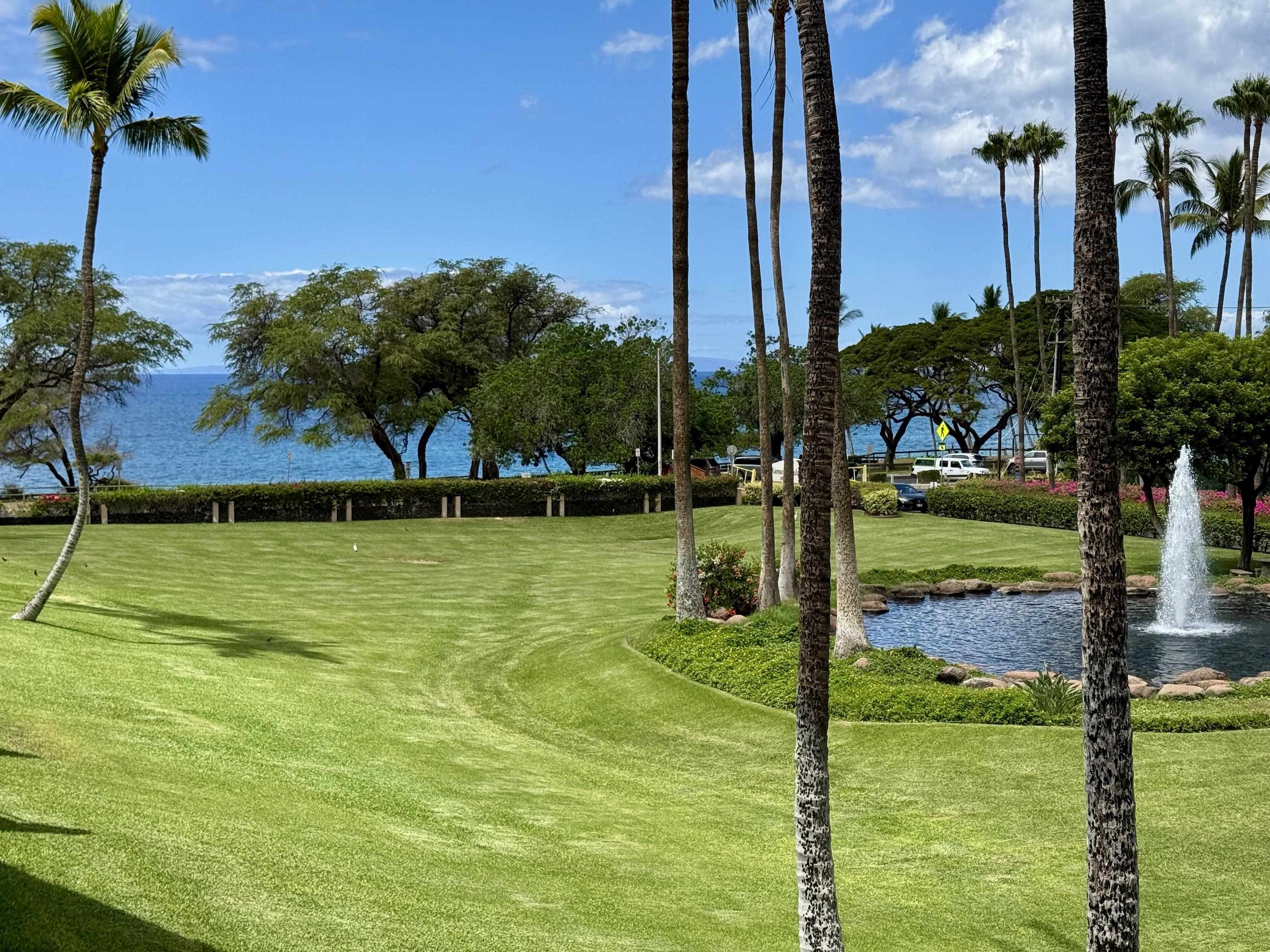 2695 S Kihei Rd Property Photo 2