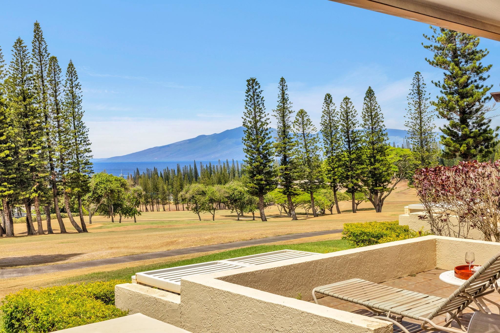 500 Kapalua Dr Property Photo 2