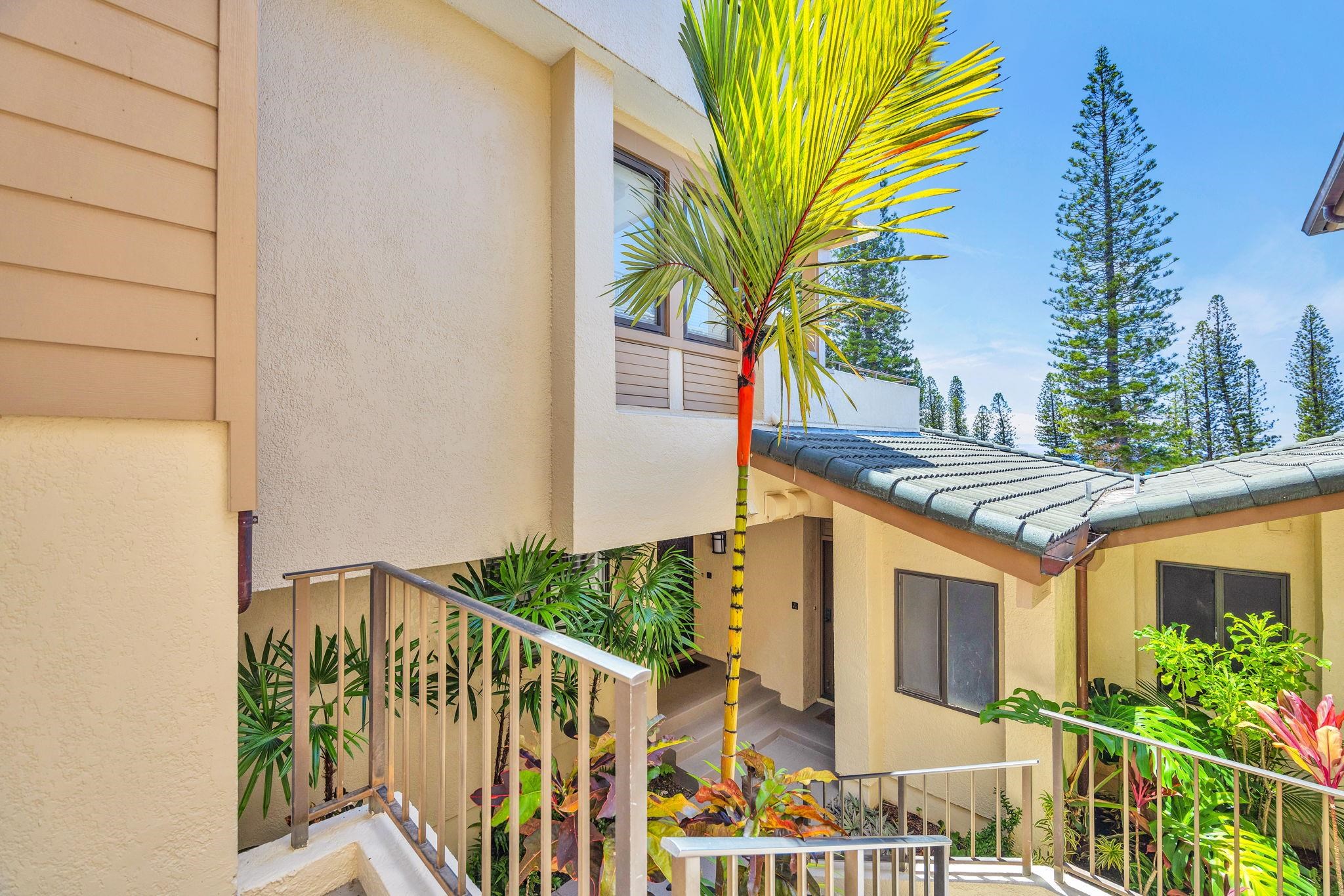500 Kapalua Dr Property Photo 39