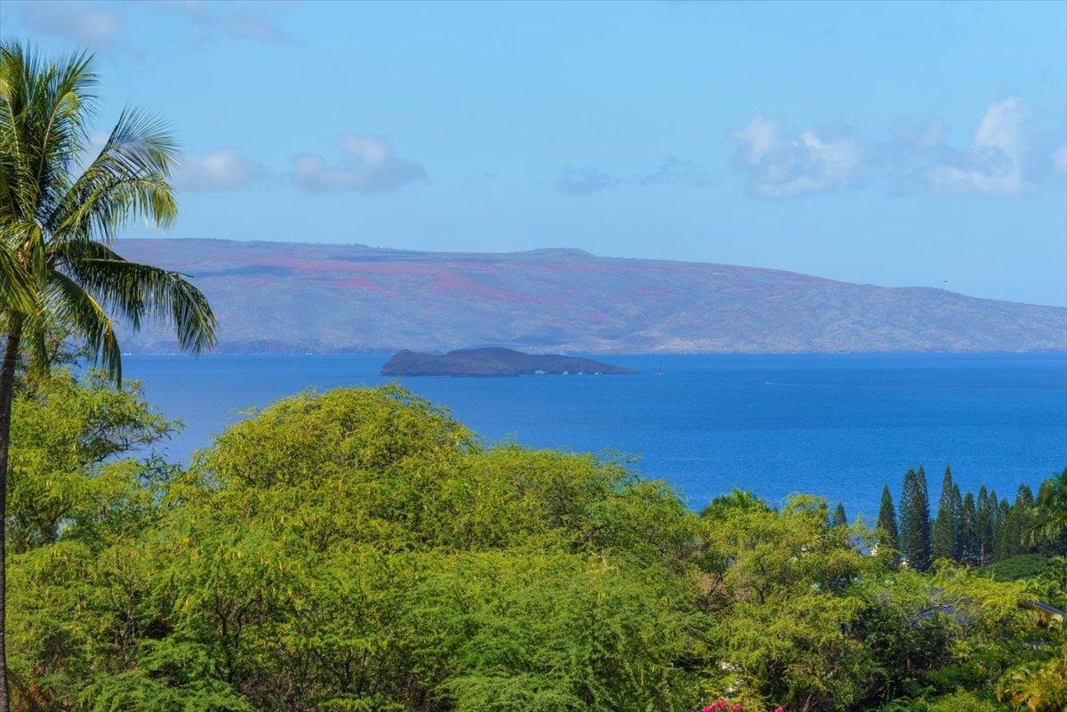 3950 Kalai Waa St Property Photo 1