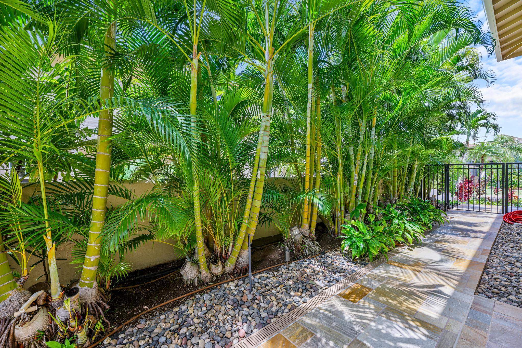 96 Moana Ave Property Photo 28