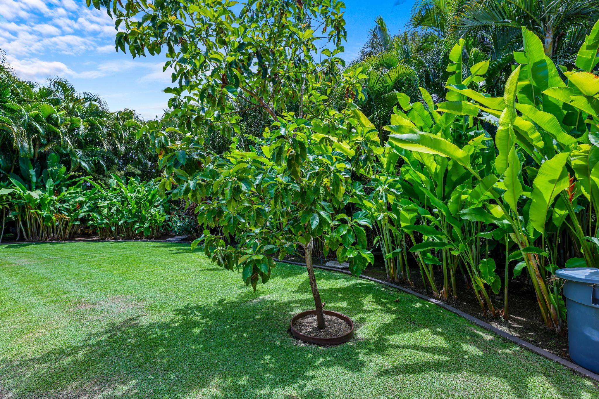 96 Moana Ave Property Photo 30