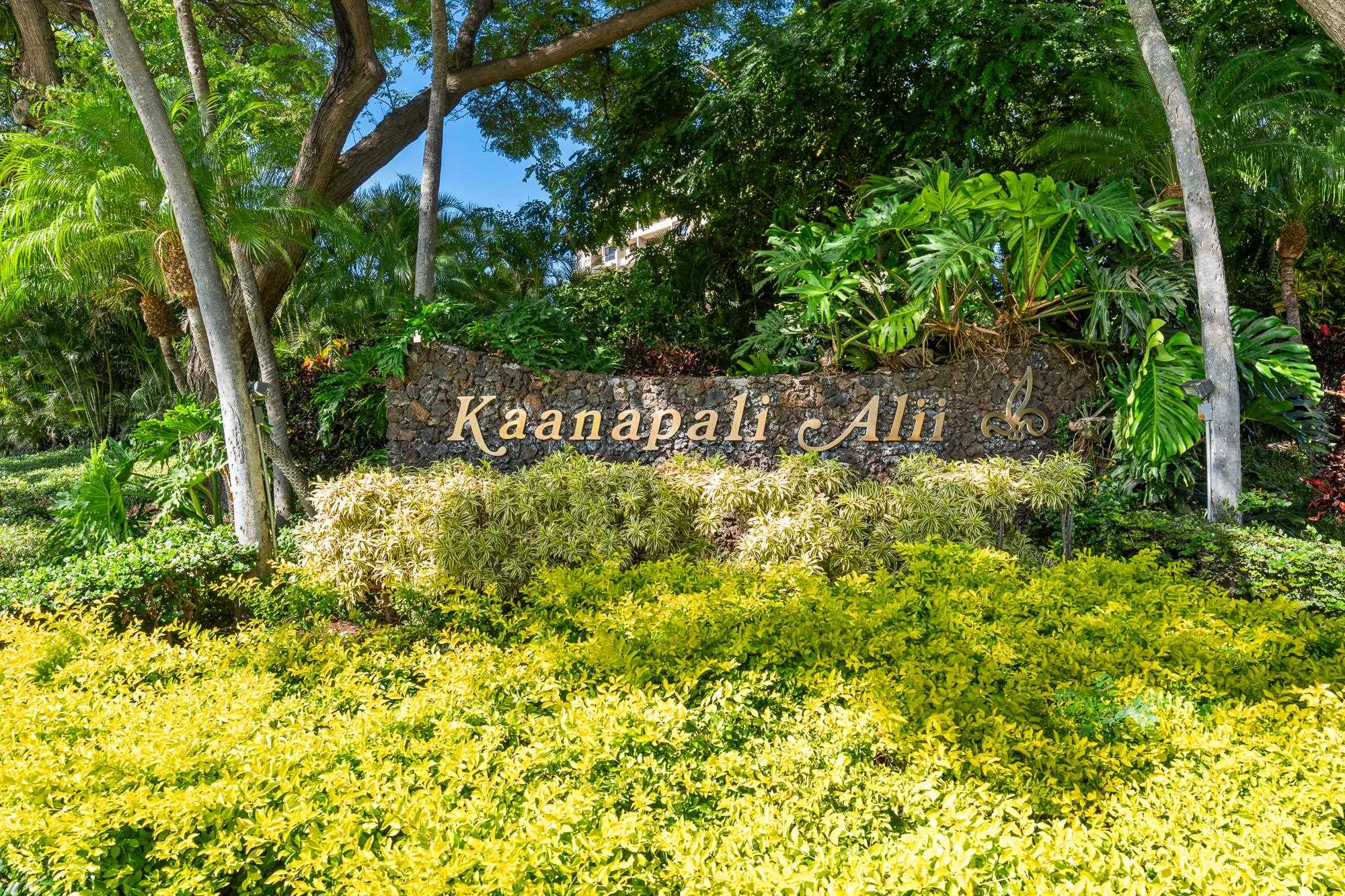 50 Nohea Kai Dr Property Photo 26