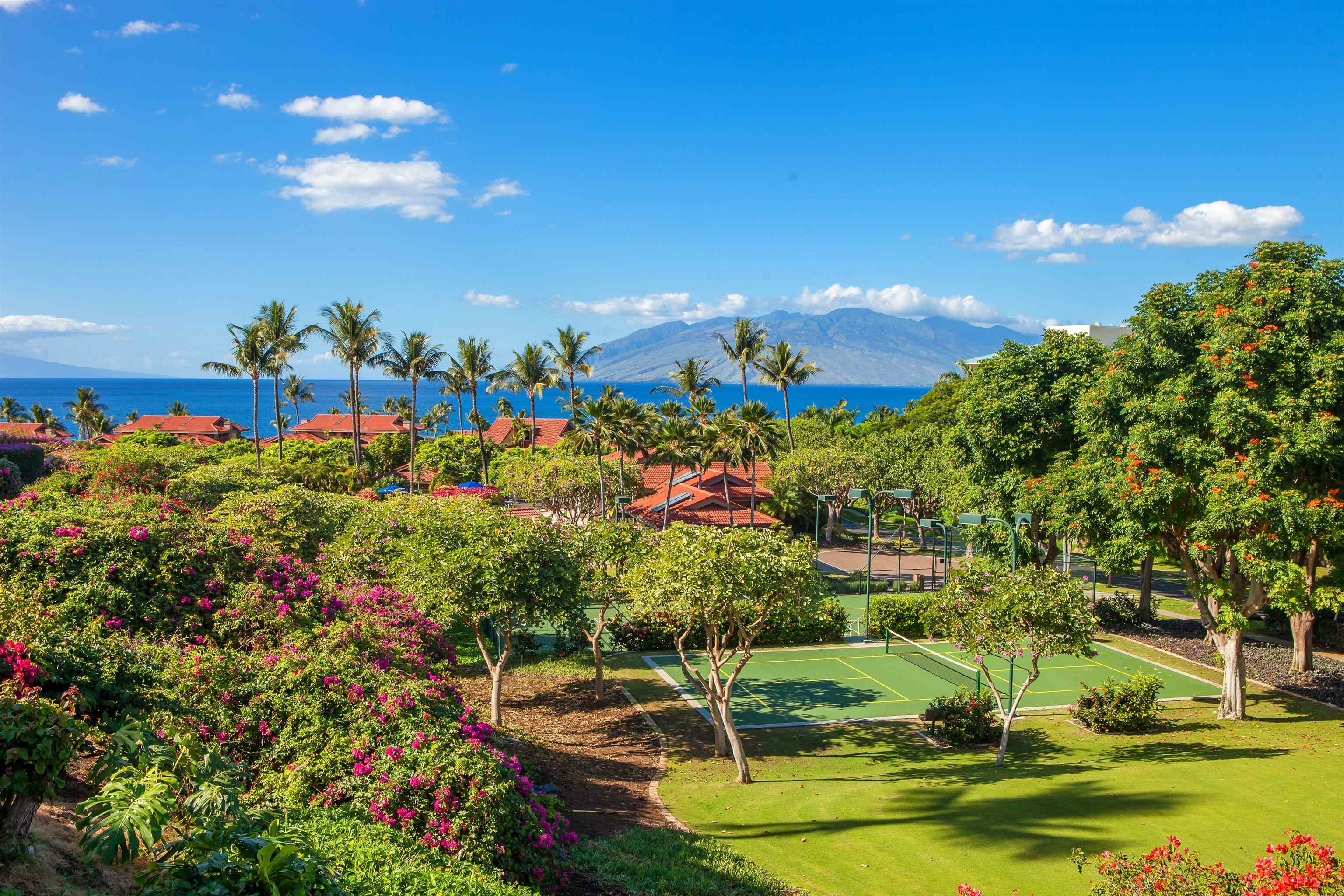 4000 Wailea Alanui Dr Property Photo 28