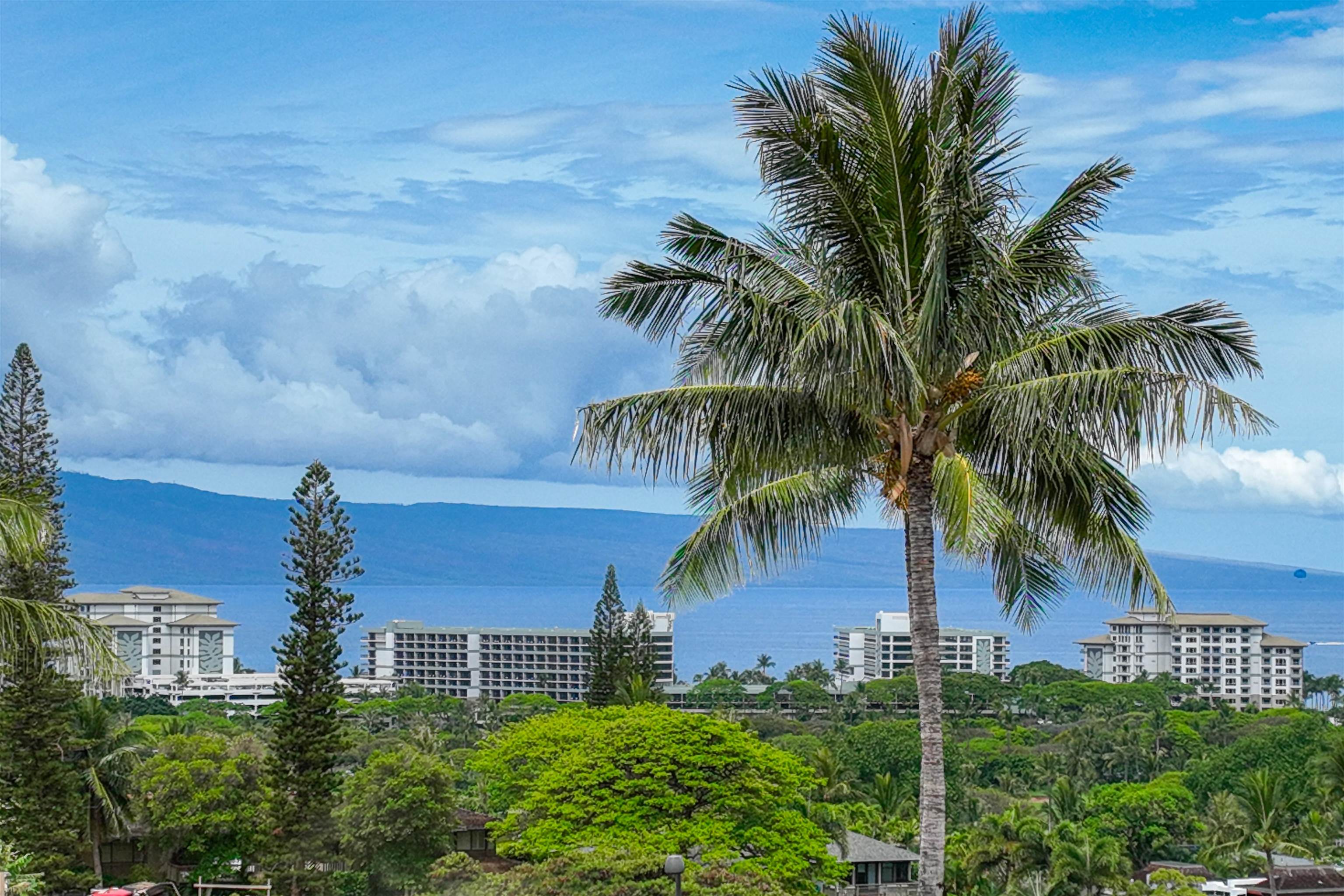 167 Anapuni Loop Property Photo 23