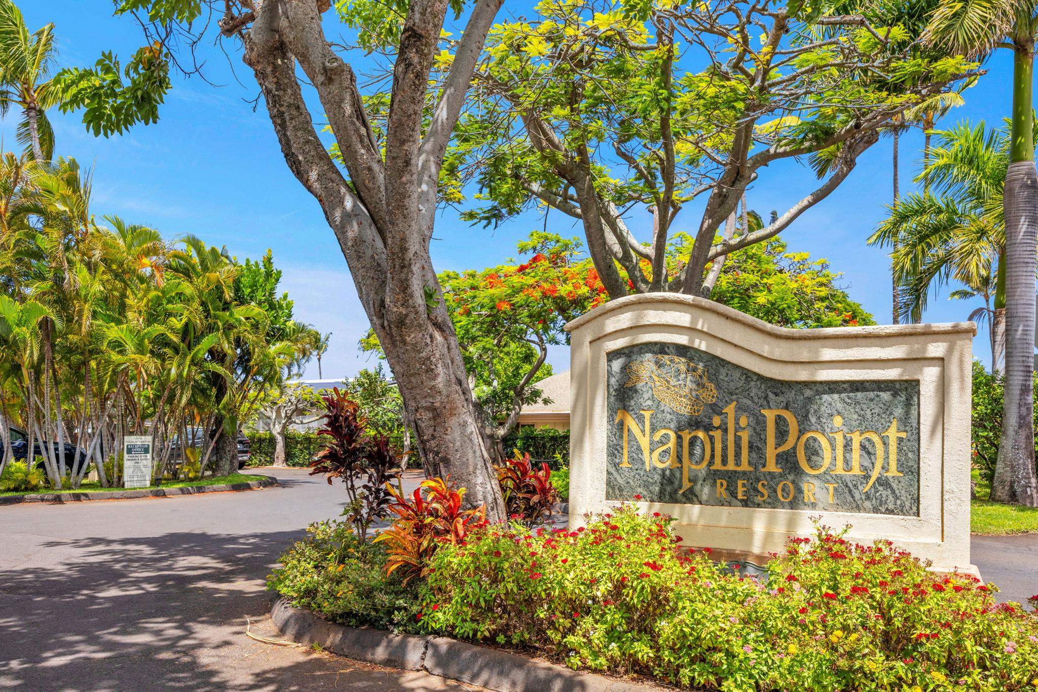 5295 Lower Honoapiilani Rd Property Photo 18