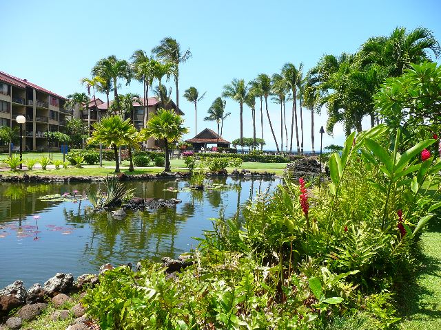 3543 Lower Honoapiilani Rd Property Photo 31