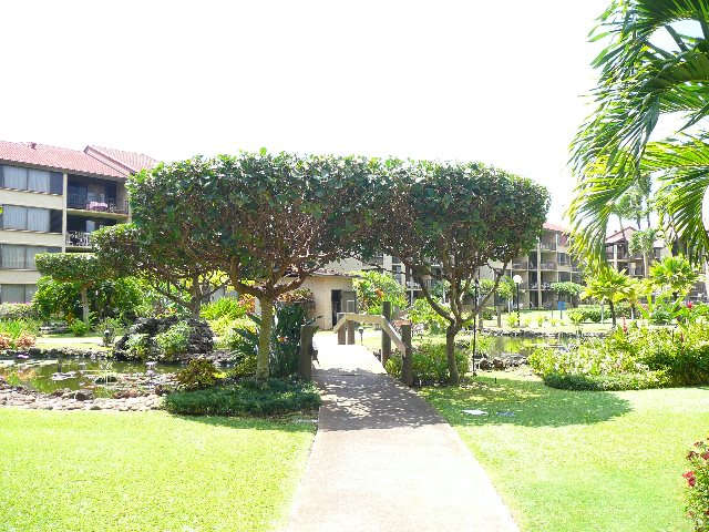 3543 Lower Honoapiilani Rd Property Photo 33