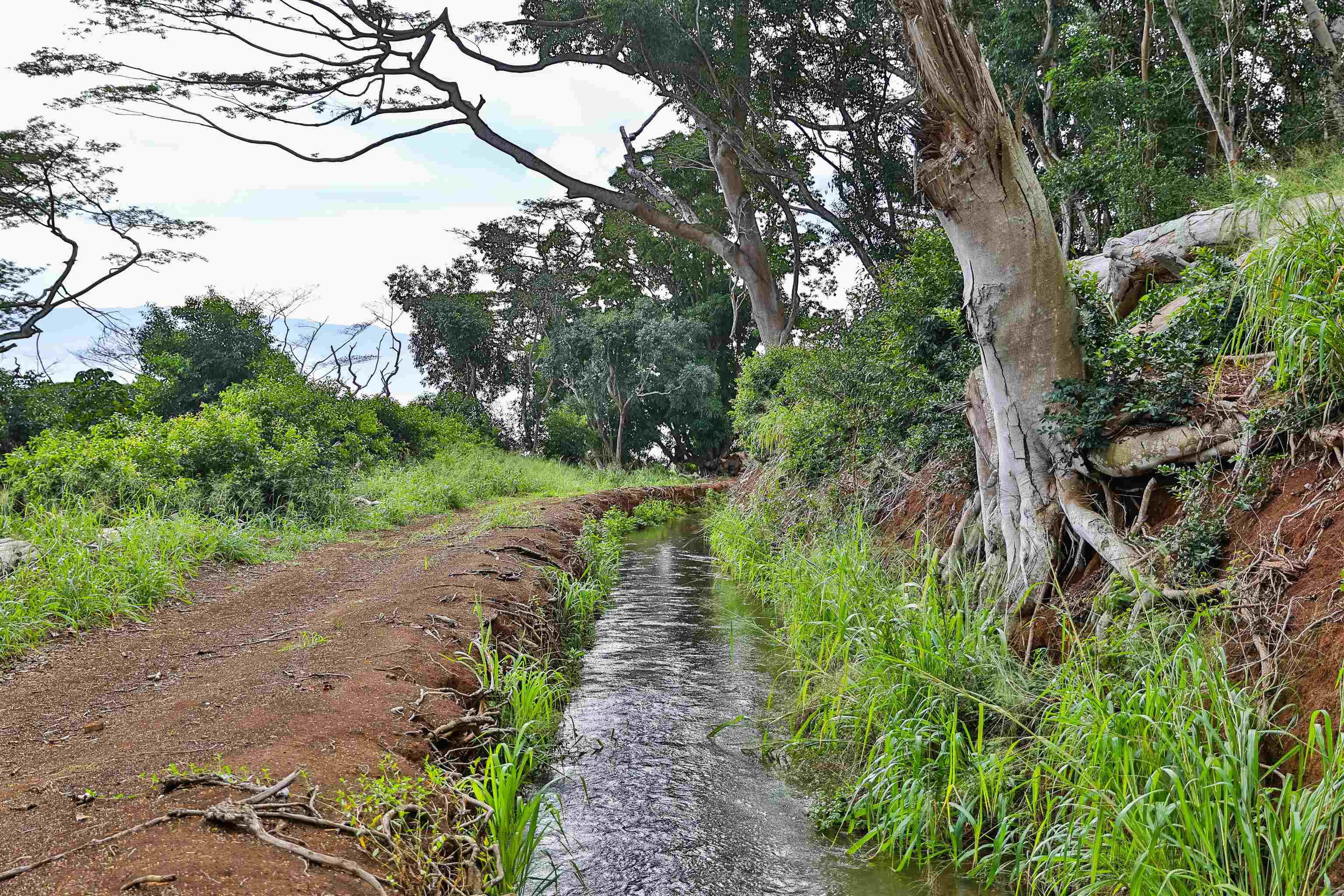 0 Malaihi Rd Property Photo 14