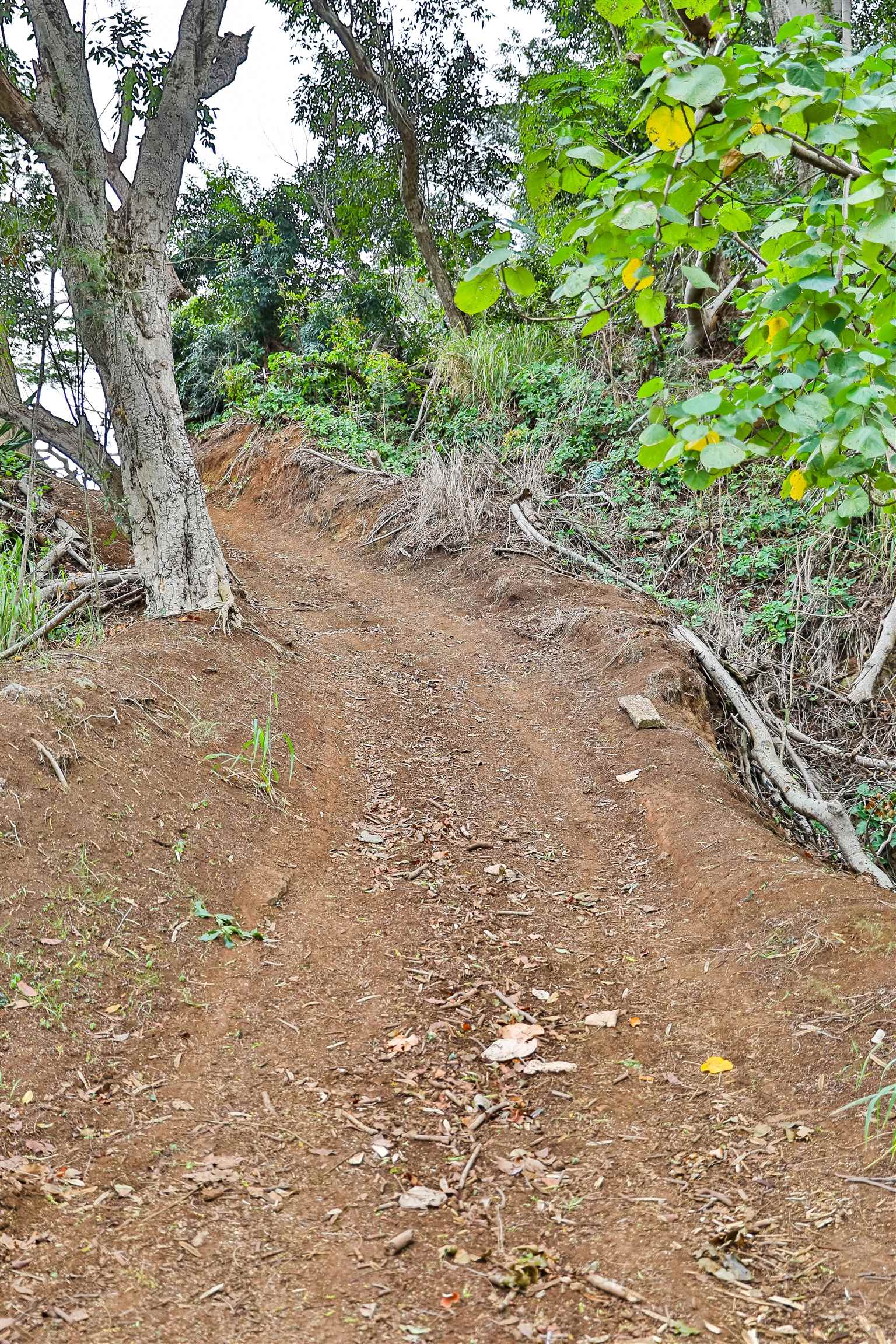 0 Malaihi Rd Property Photo 16