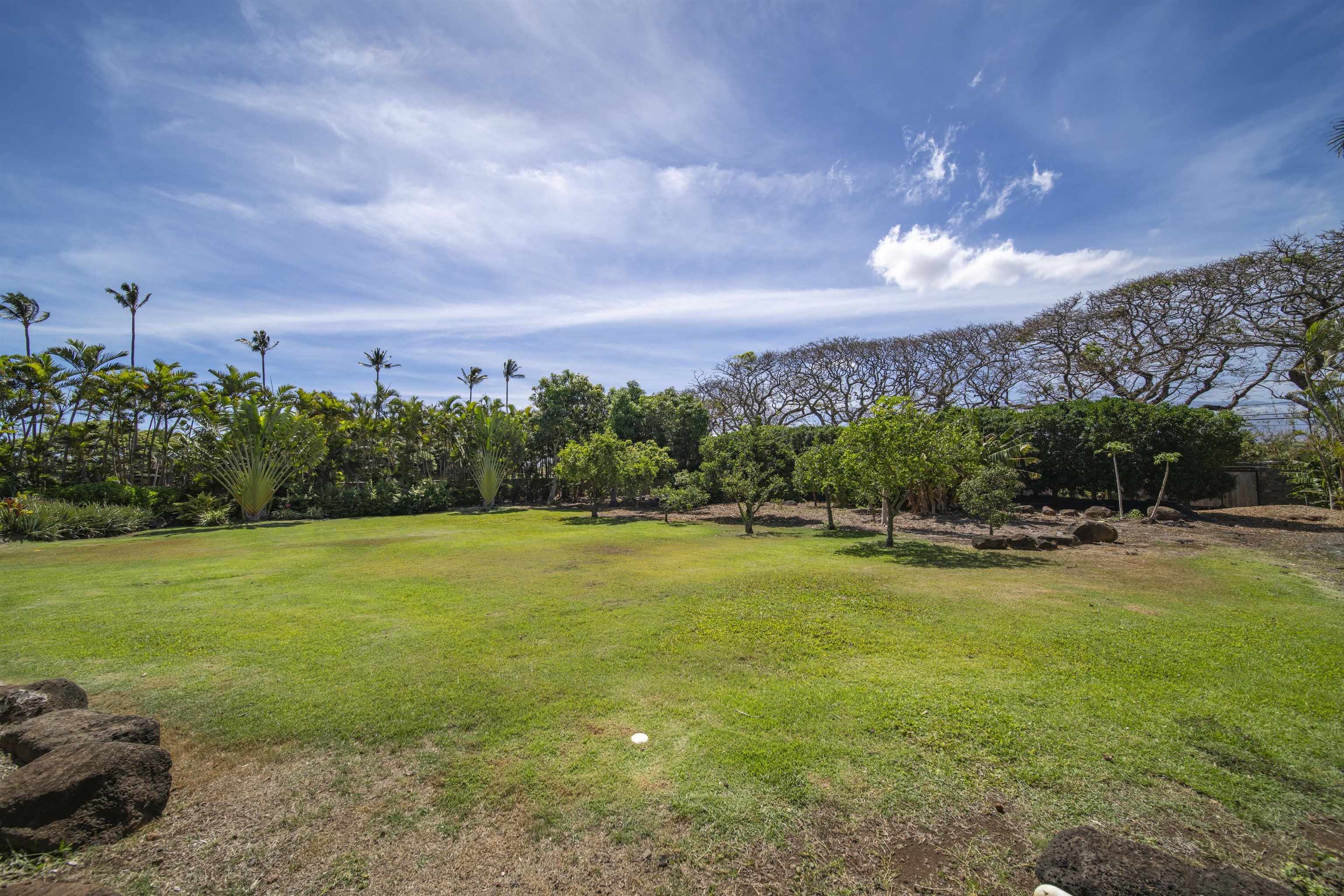 1050 Kapukaulua Pl Property Photo 41