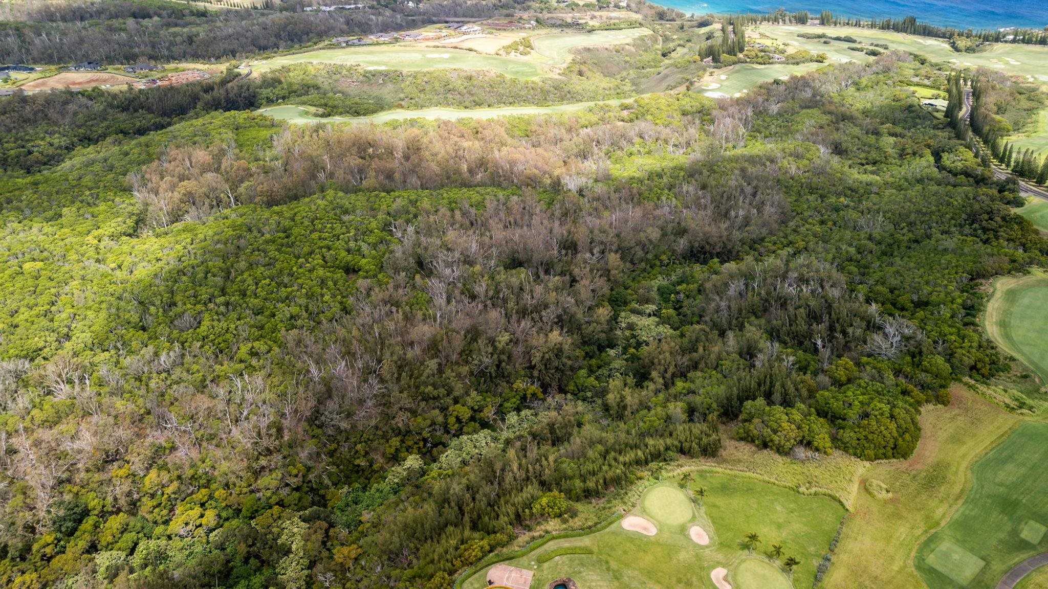 0 Plantation Estates Dr Property Photo 9