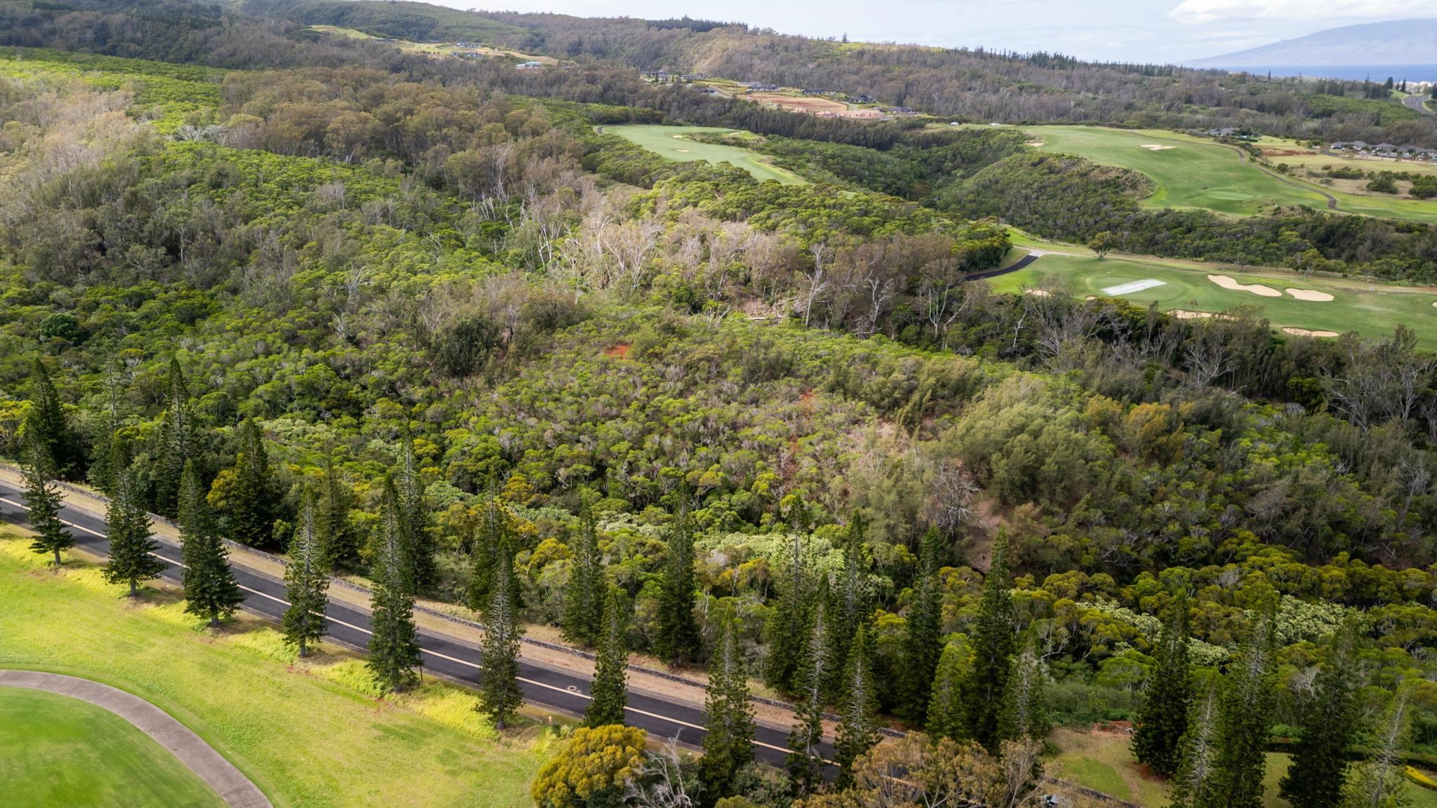 0 Plantation Estates Dr Property Photo 22
