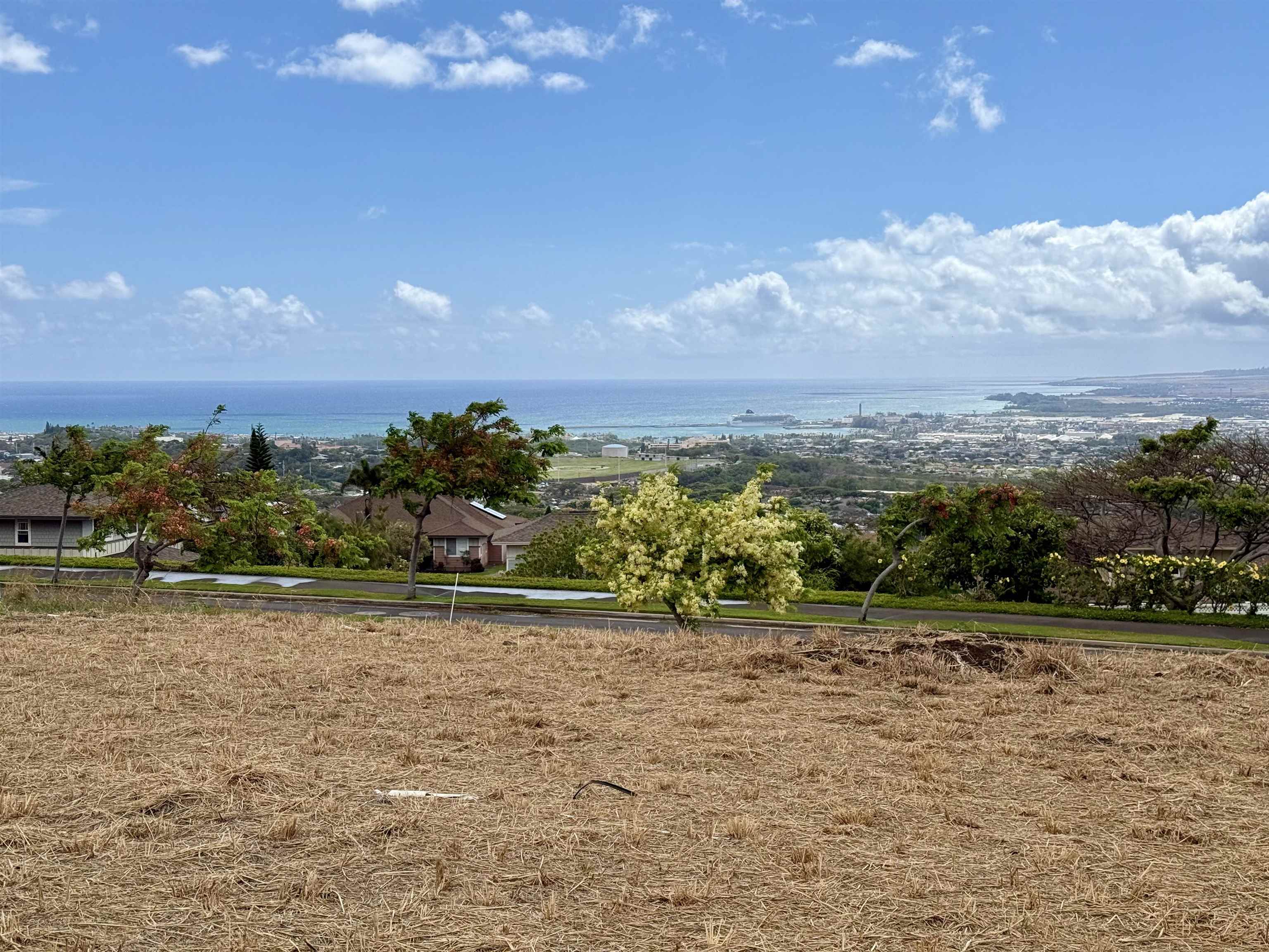 116 Hopoi Pl Property Photo 2